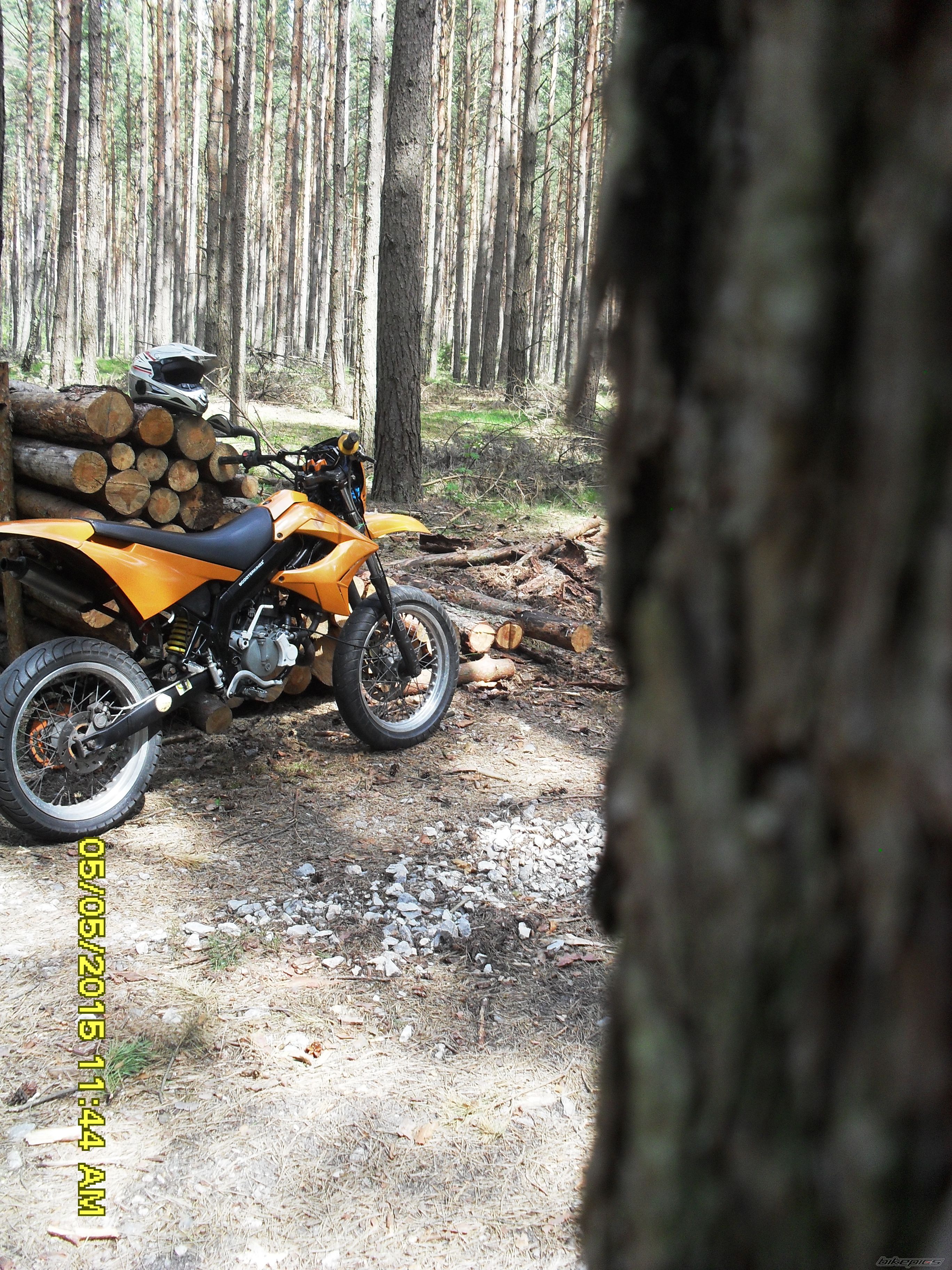 2004 DERBI SENDA XRACE SM 50 | Picture 2739619 motorcycle photo