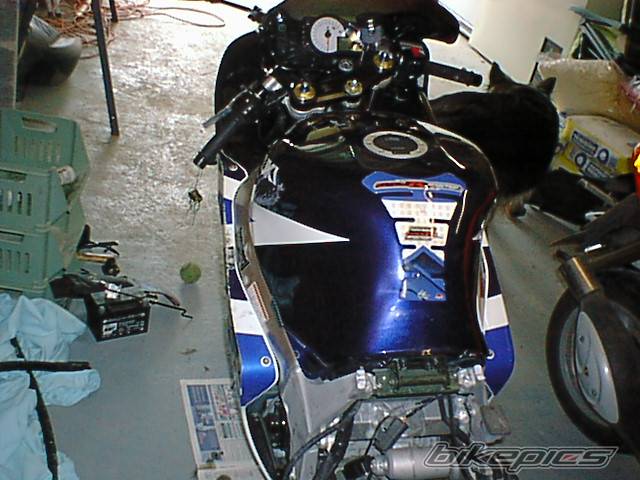 2003 SUZUKI GSX R 600 | Picture 273991 motorcycle photo