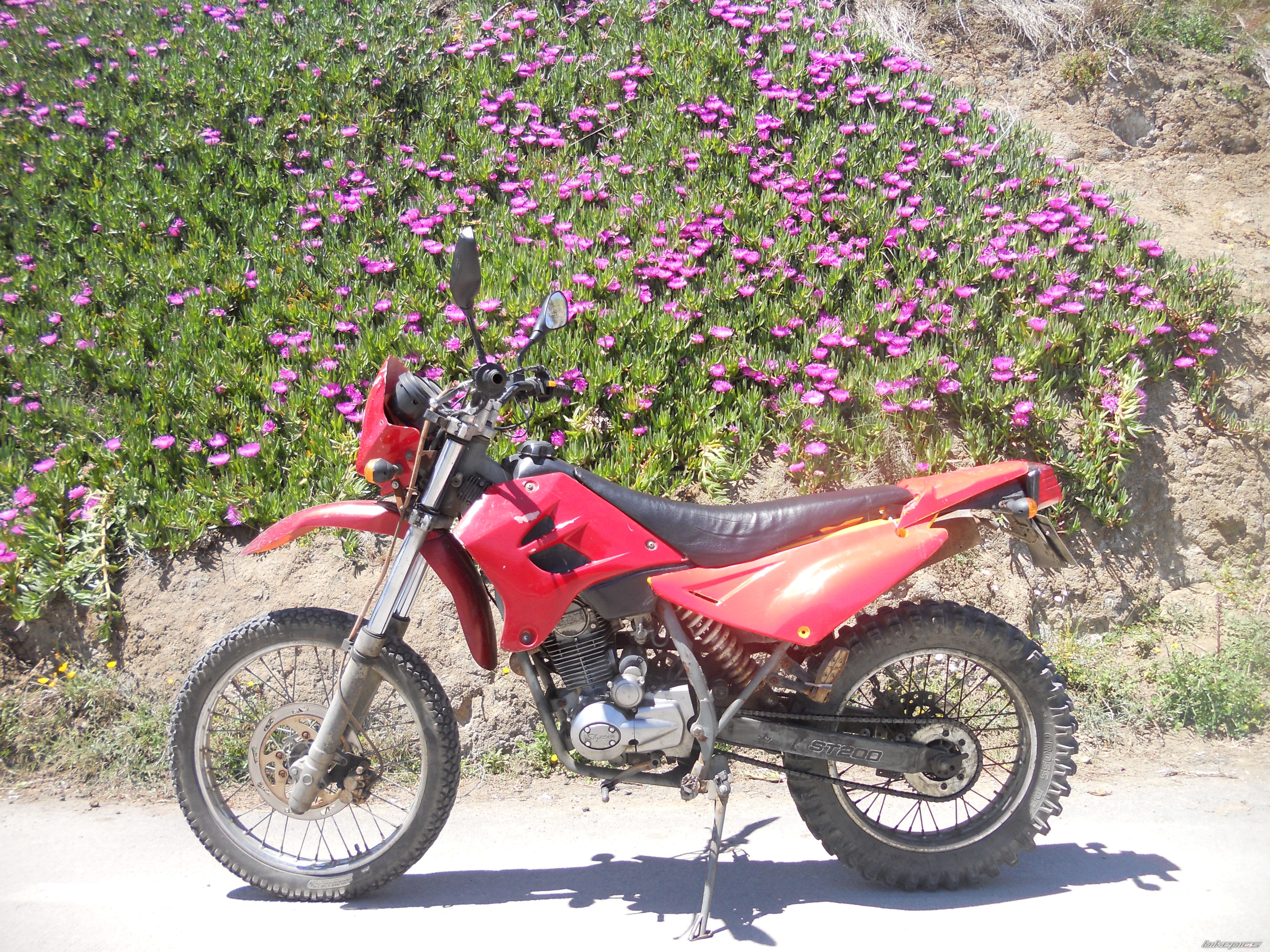 2006 SKYTEAM ST200 TR | Picture 2740474 motorcycle photo