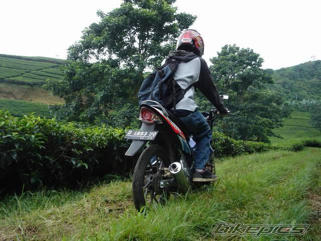 2004 SUZUKI RAIDER 125 | Picture 274183 motorcycle photo