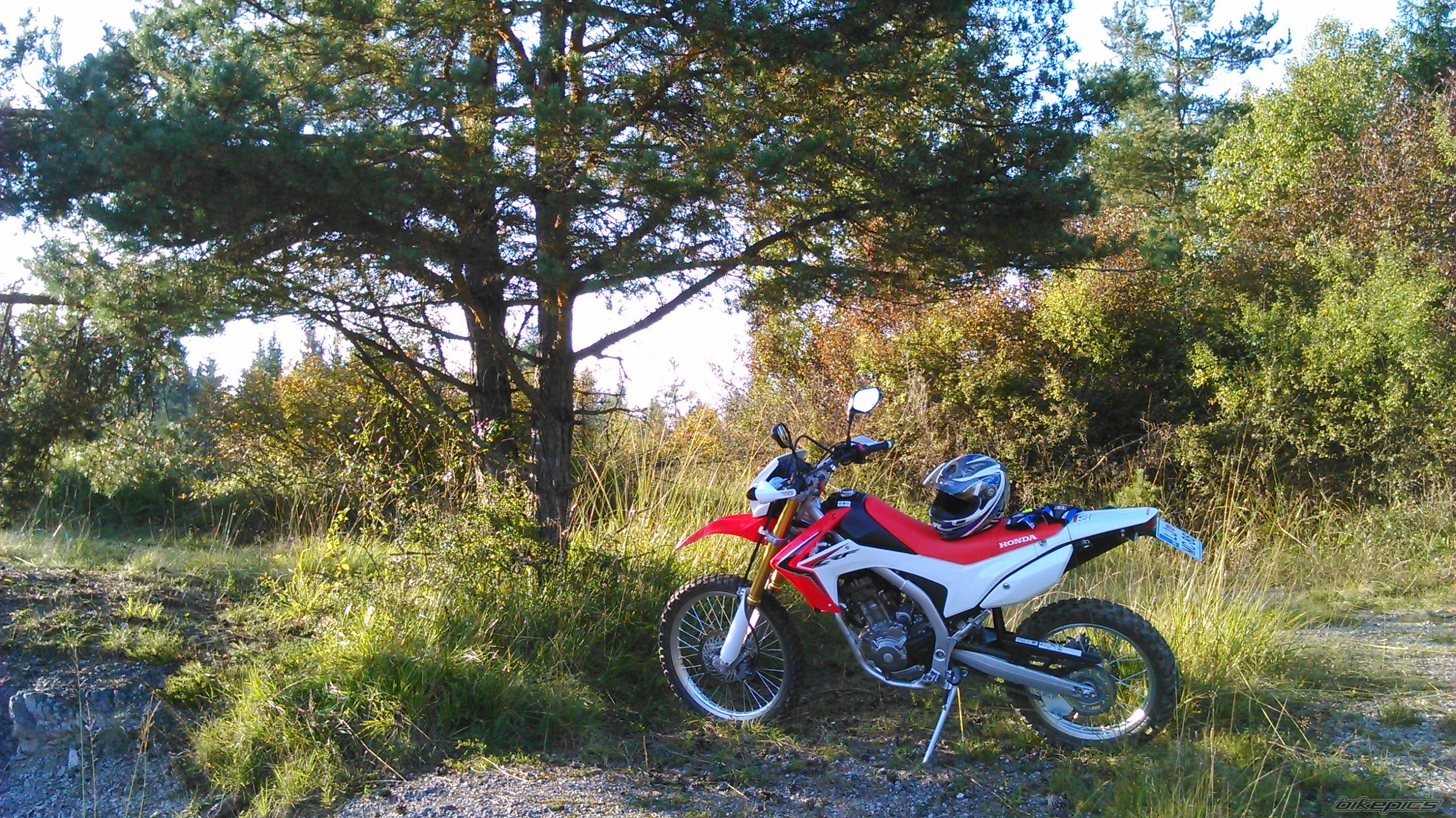 2014 HONDA CRF 250L | Picture 2742239 motorcycle photo