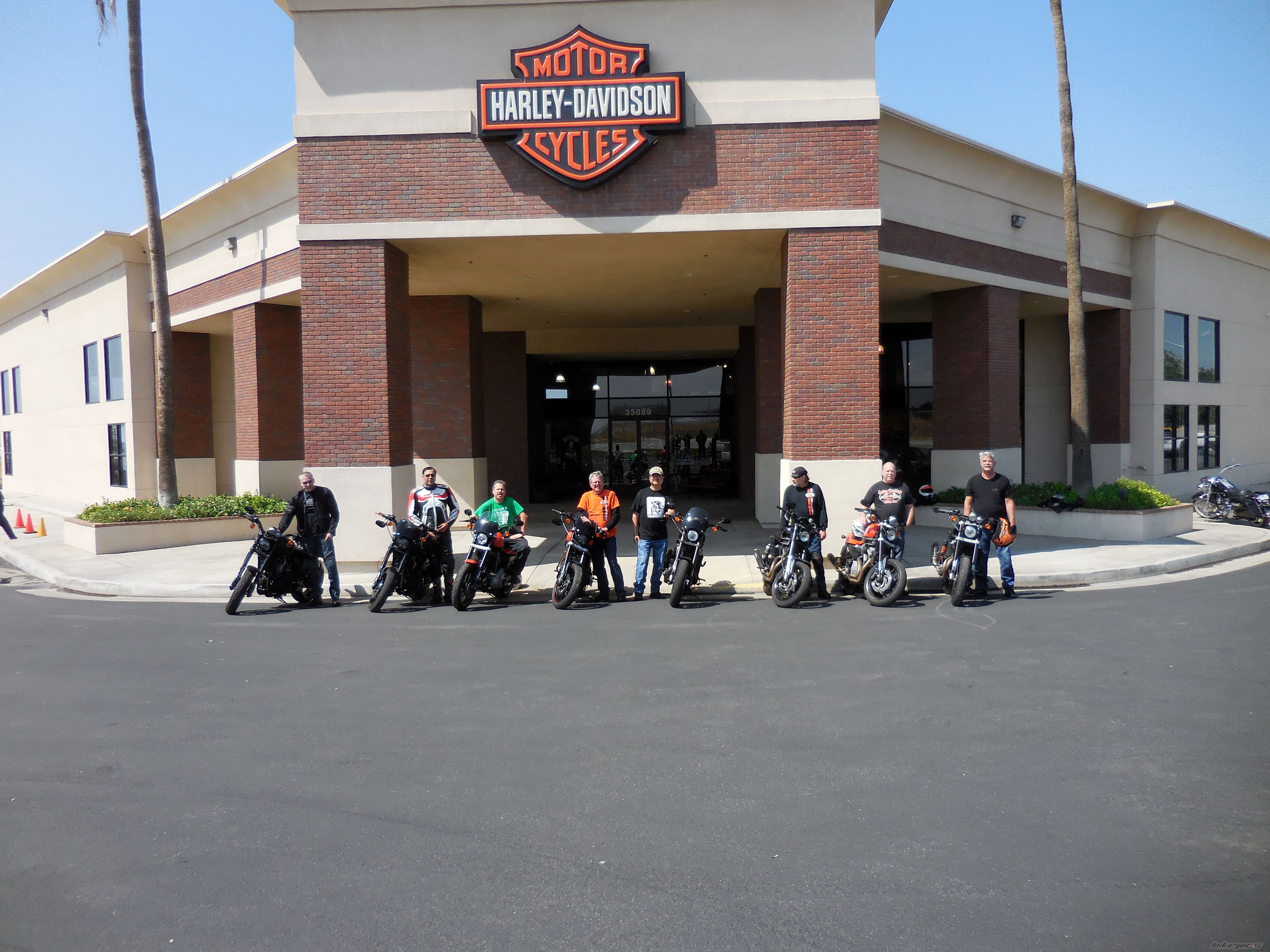2011 HARLEY DAVIDSON XR 1200 | Picture 2742987 motorcycle photo