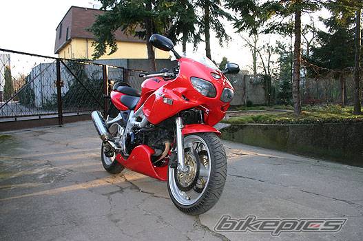 1999 SUZUKI SV 650S | Picture 274385 motorcycle photo