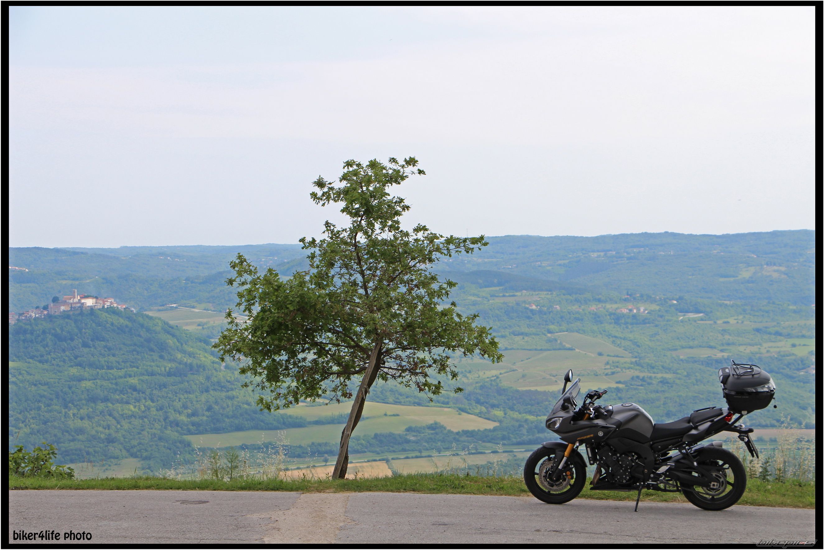 2014 YAMAHA FZ8 FAZER | Picture 2743975 motorcycle photo
