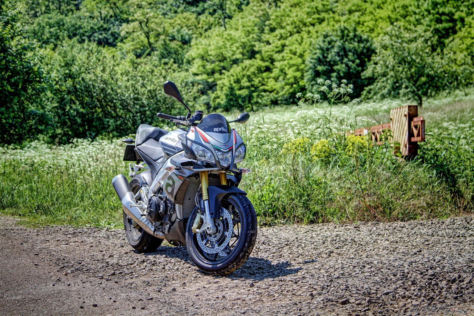 2015 APRILIA V4 1100 RR | Picture 2744084 motorcycle photo