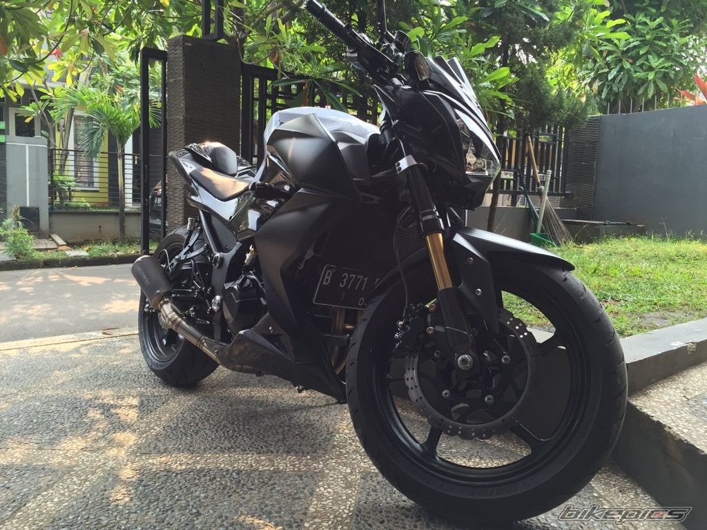 2014 KAWASAKI Z 250 | Picture 2745164 motorcycle photo