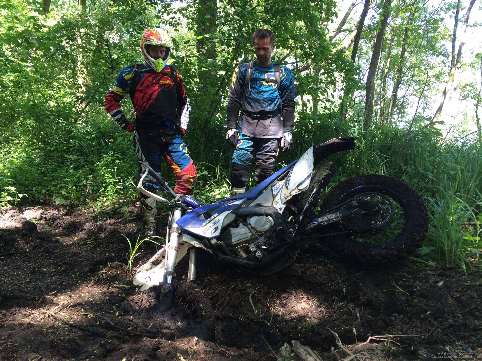 2011 HUSABERG FE 390 | Picture 2745190 motorcycle photo