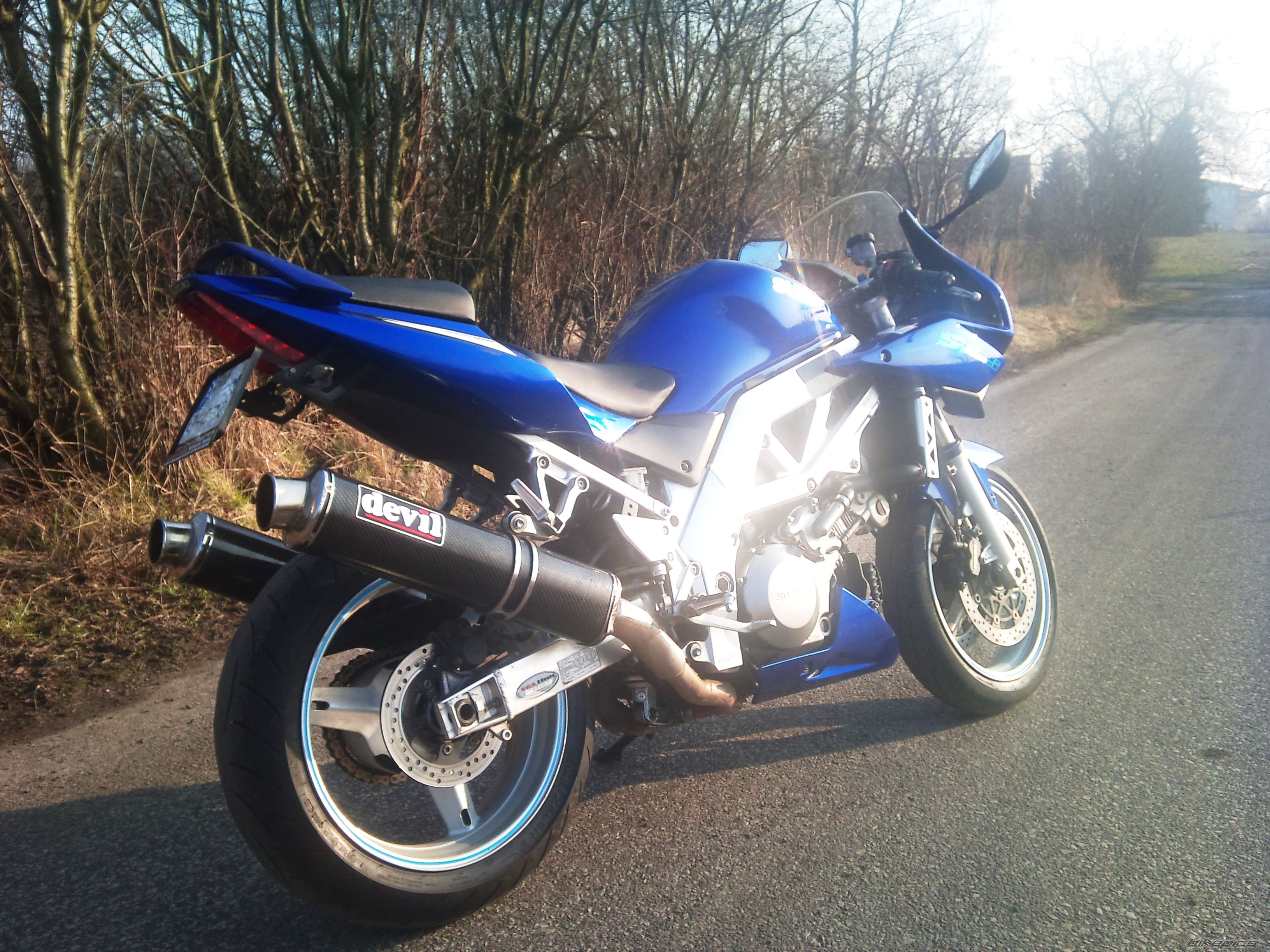 2004 SUZUKI SV1000S | Picture 2745715 motorcycle photo