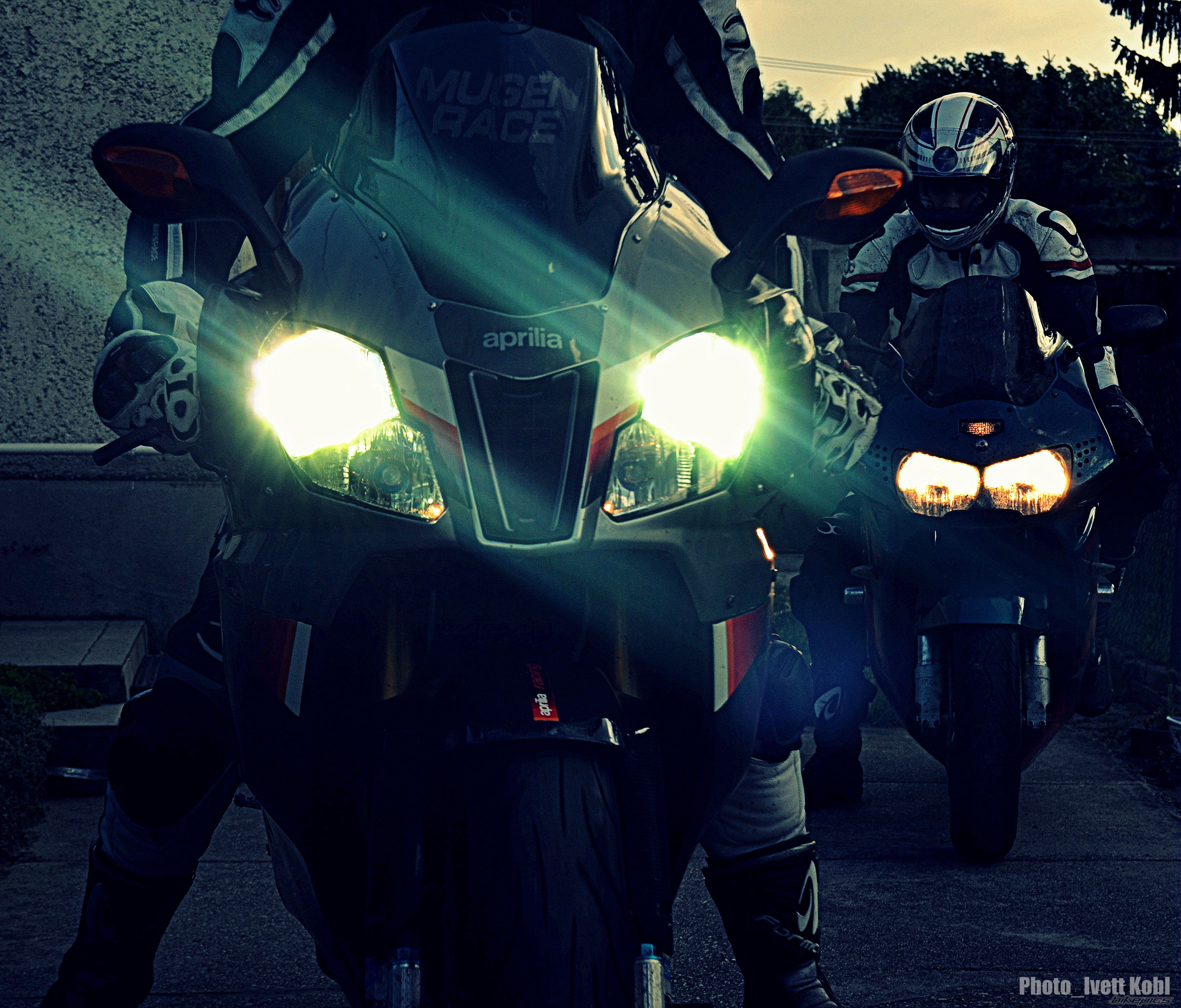 2004 APRILIA RSV MILLE FACTORY | Picture 2746868 motorcycle photo