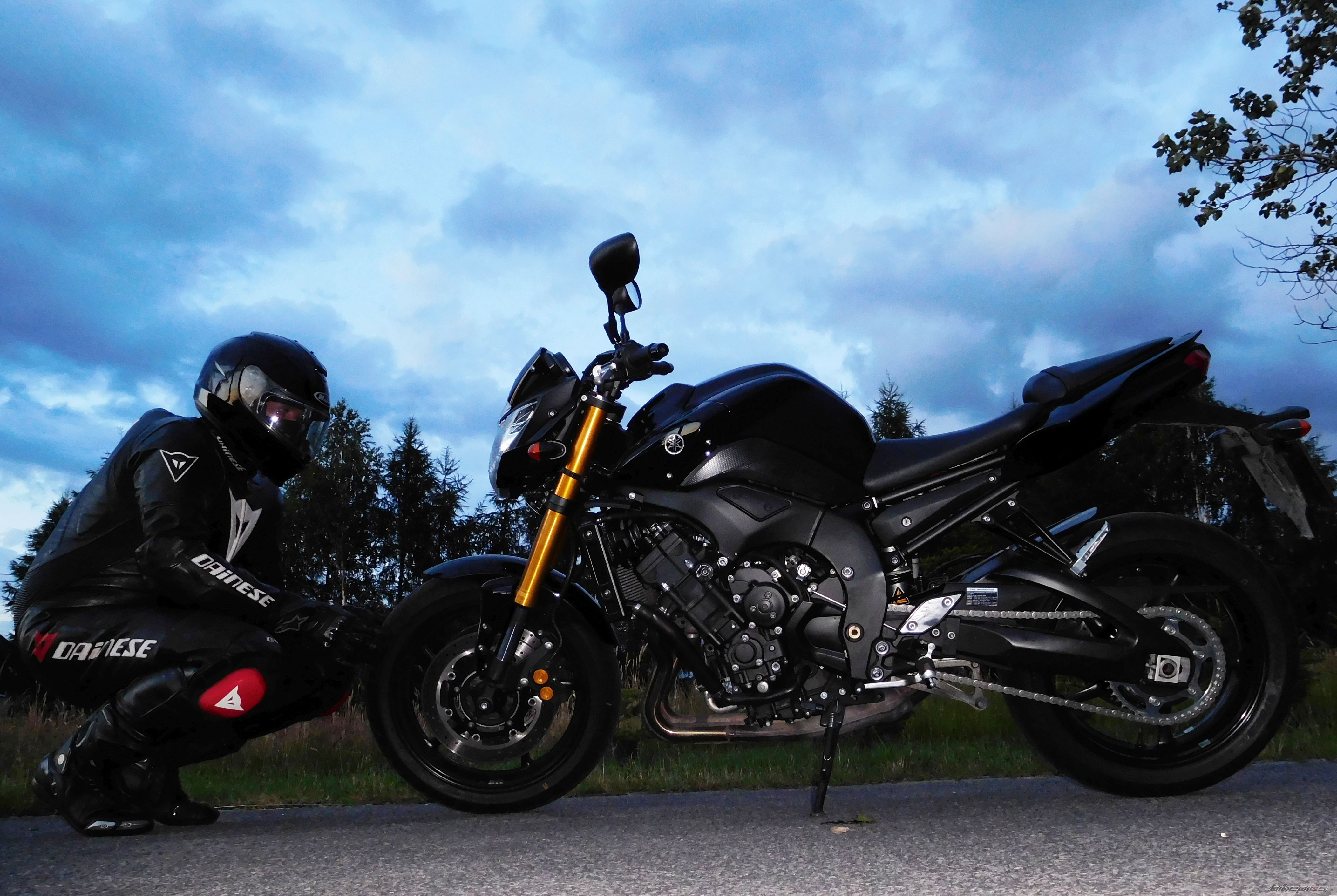 2009 YAMAHA FZ 8 | Picture 2747748 motorcycle photo