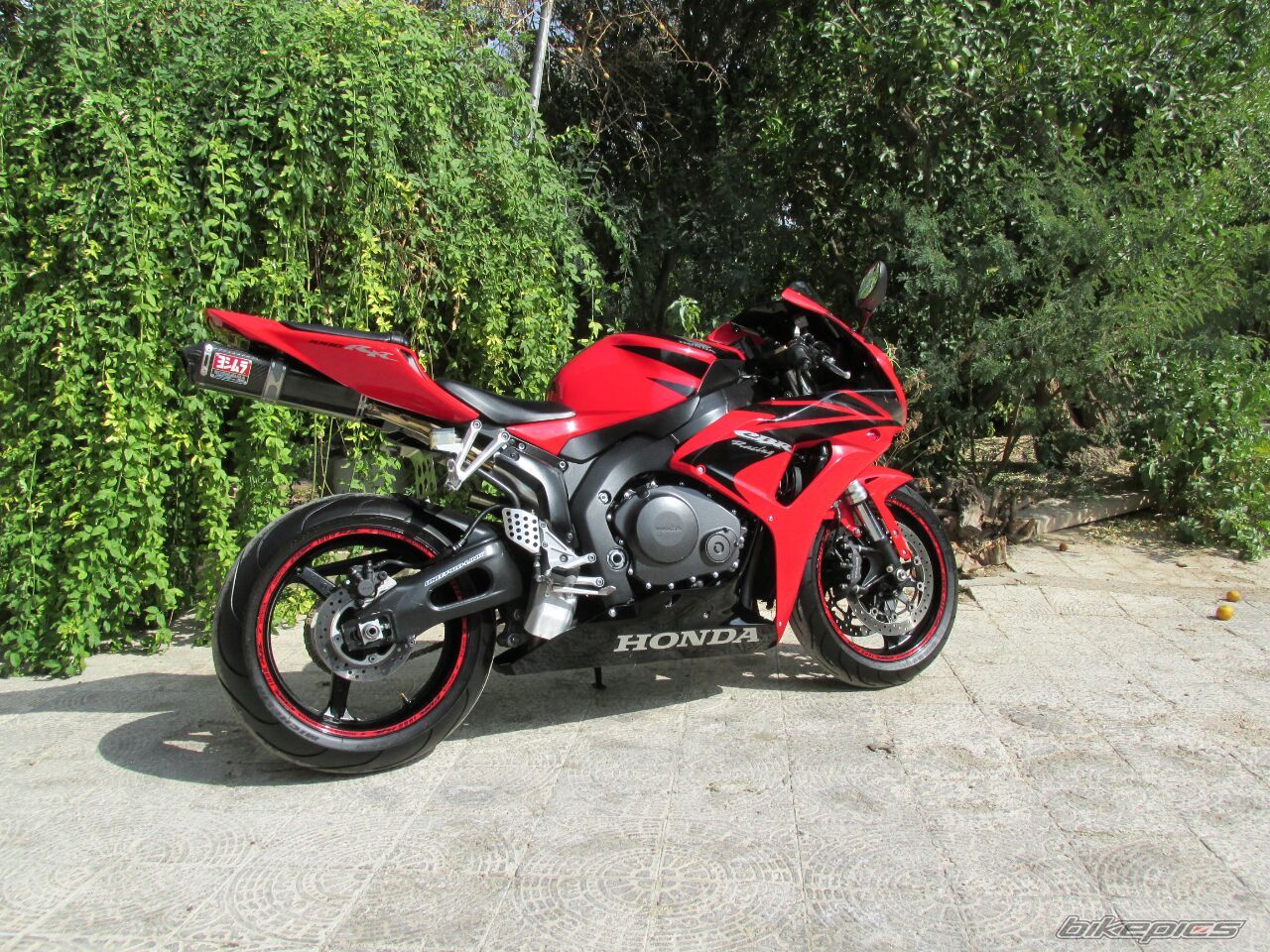 2015 HONDA CBR 1000  RR | Picture 2748006 motorcycle photo
