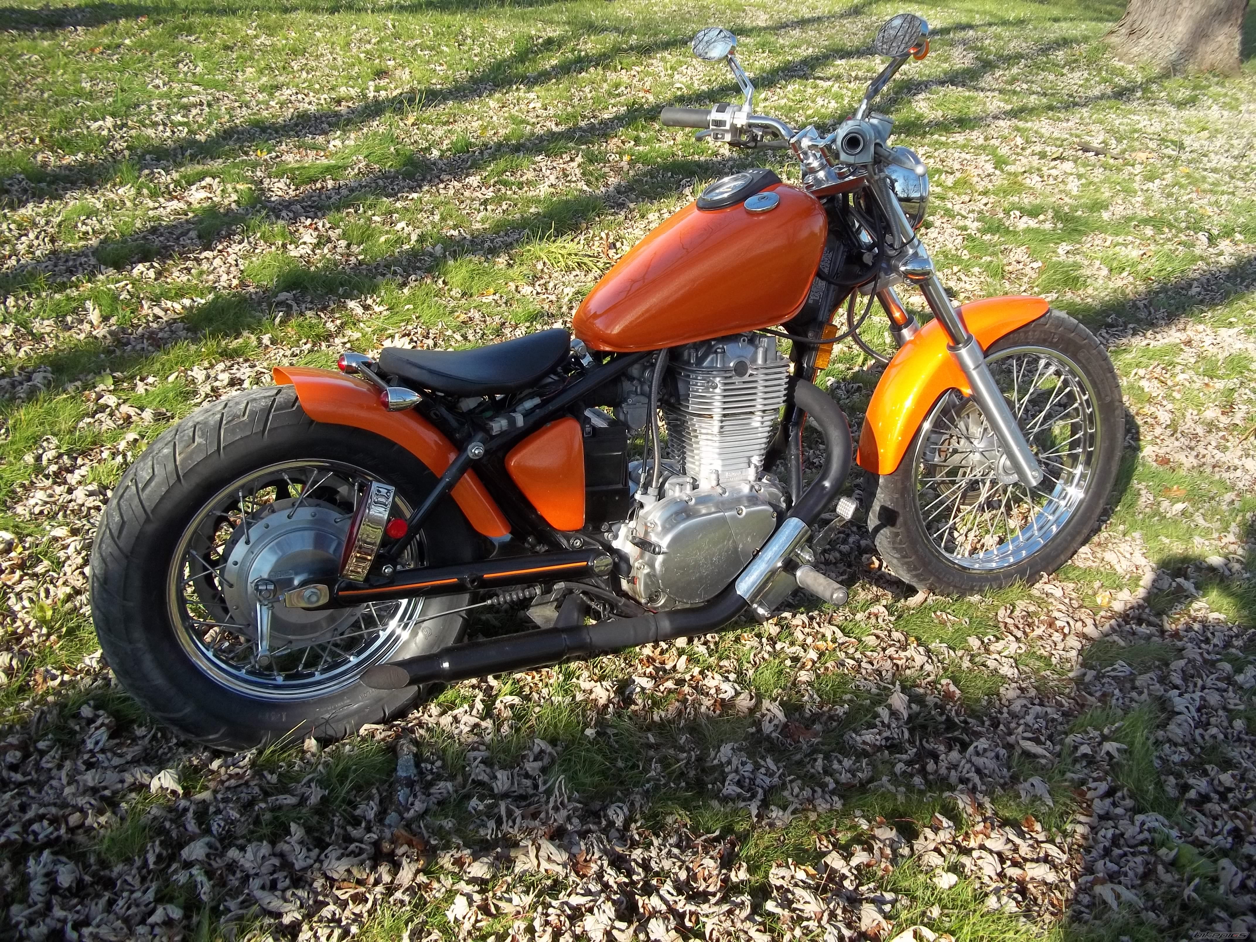 1998 SUZUKI SAVAGE | Picture 2749306 motorcycle photo