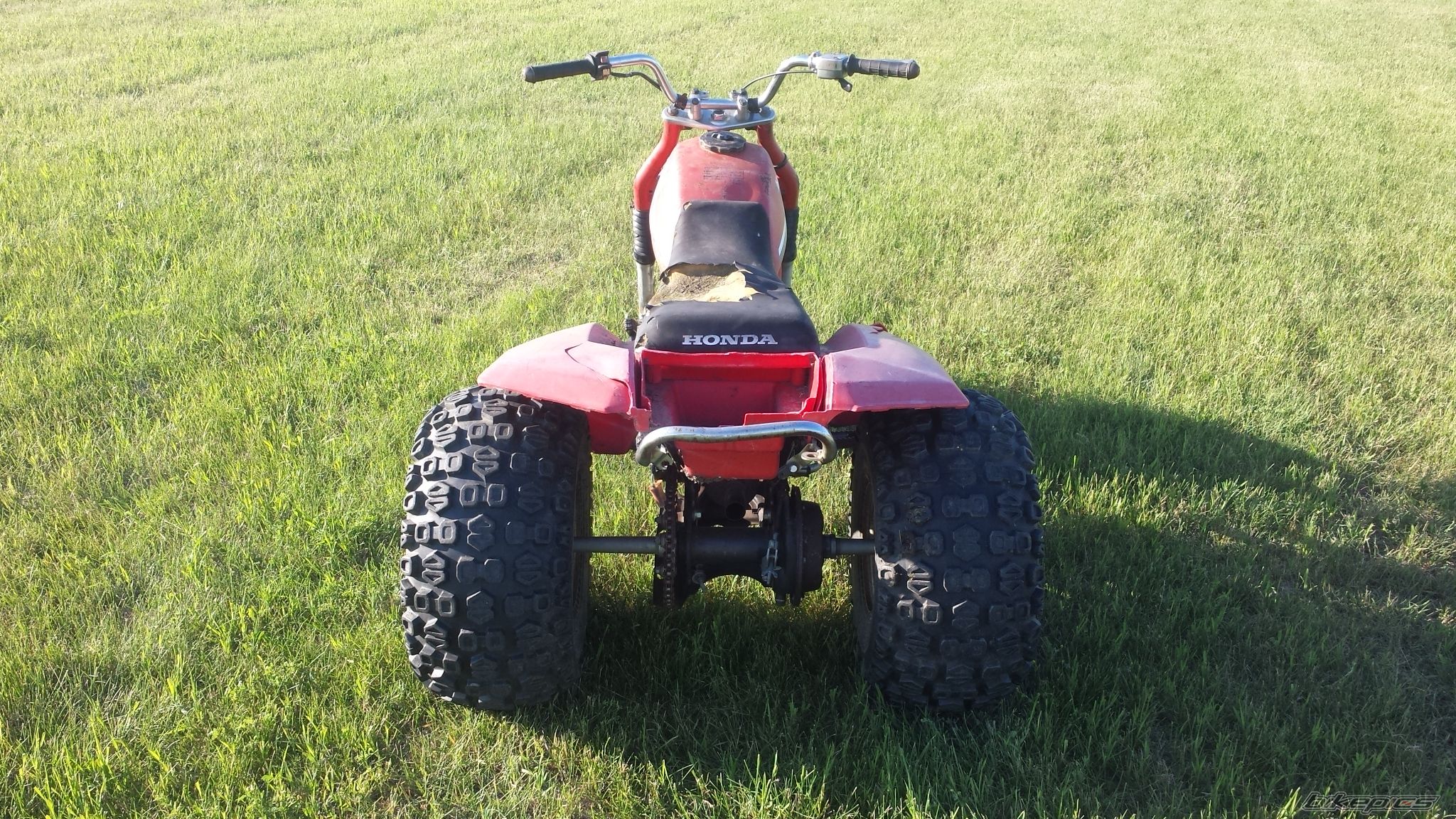 1984 HONDA ATC 200S | Picture 2750352 motorcycle photo