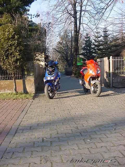 2003 PEUGEOT JET FORCE | Picture 275037 motorcycle photo