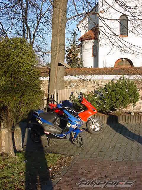 2003 PEUGEOT JET FORCE | Picture 275044 motorcycle photo