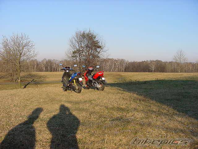 2003 PEUGEOT JET FORCE | Picture 275052 motorcycle photo