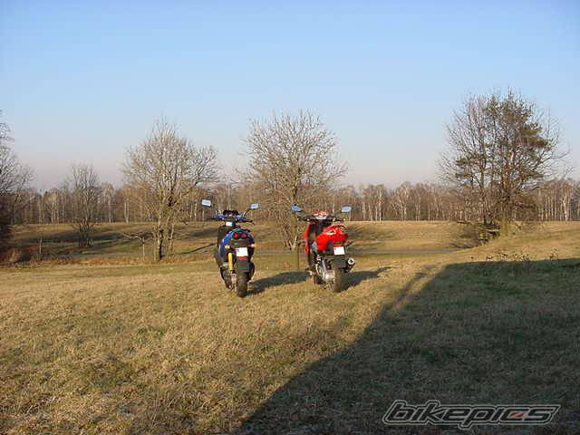 2003 PEUGEOT JET FORCE | Picture 275053 motorcycle photo