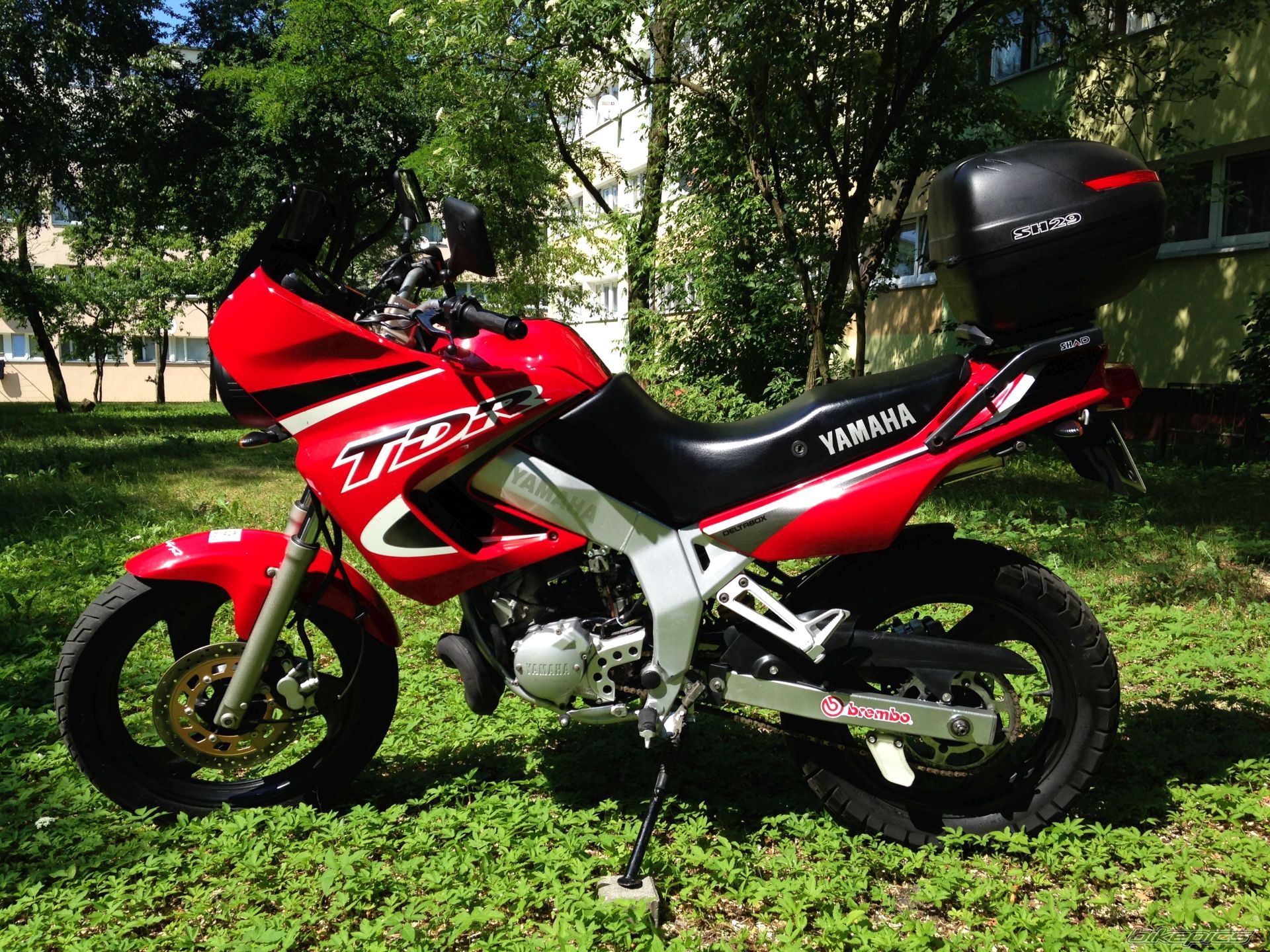 1997 YAMAHA TDR 125 | Picture 2750560 motorcycle photo