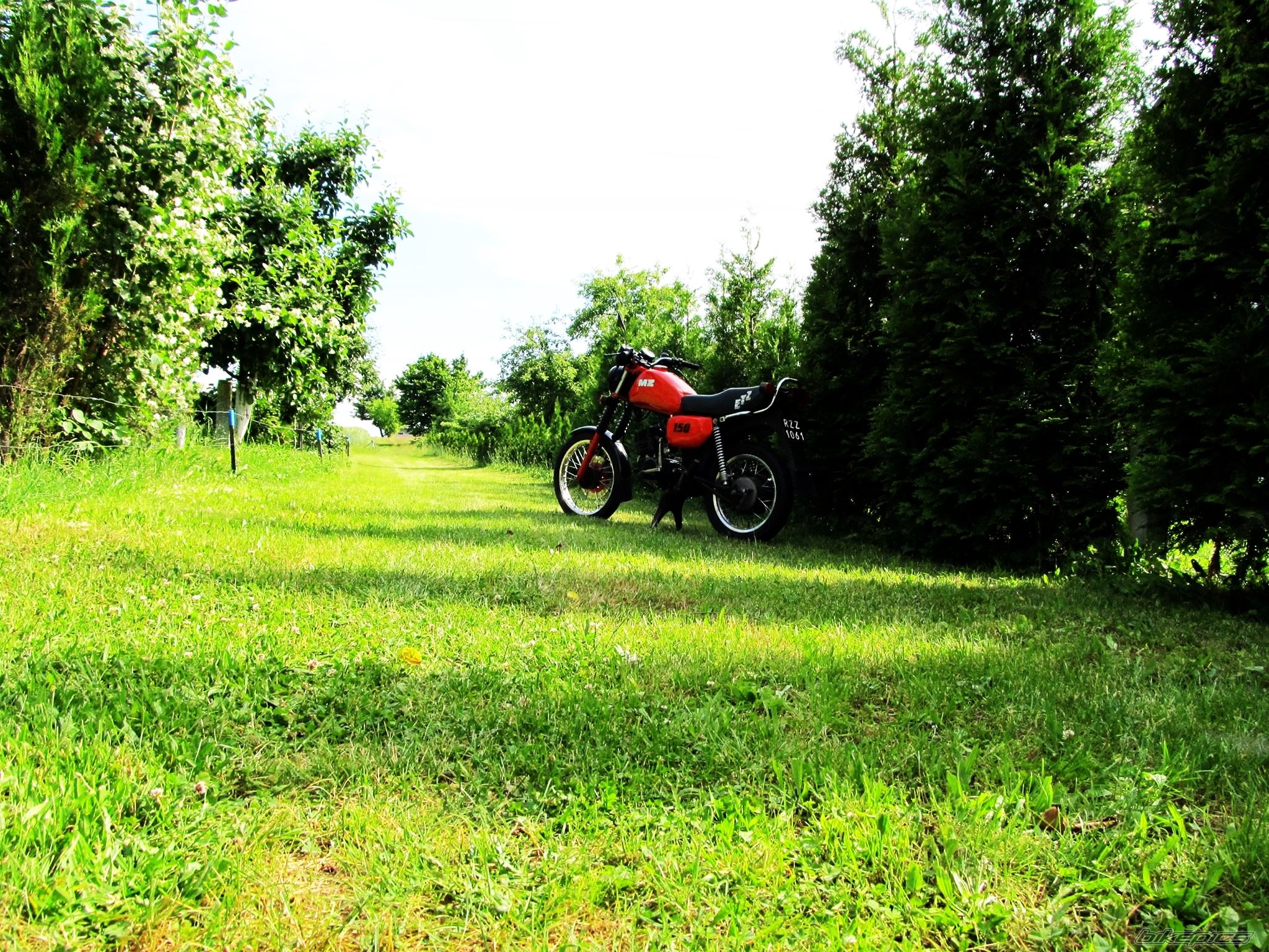 1991 MZ ETZ 150 ELECTRIC | Picture 2751021 motorcycle photo