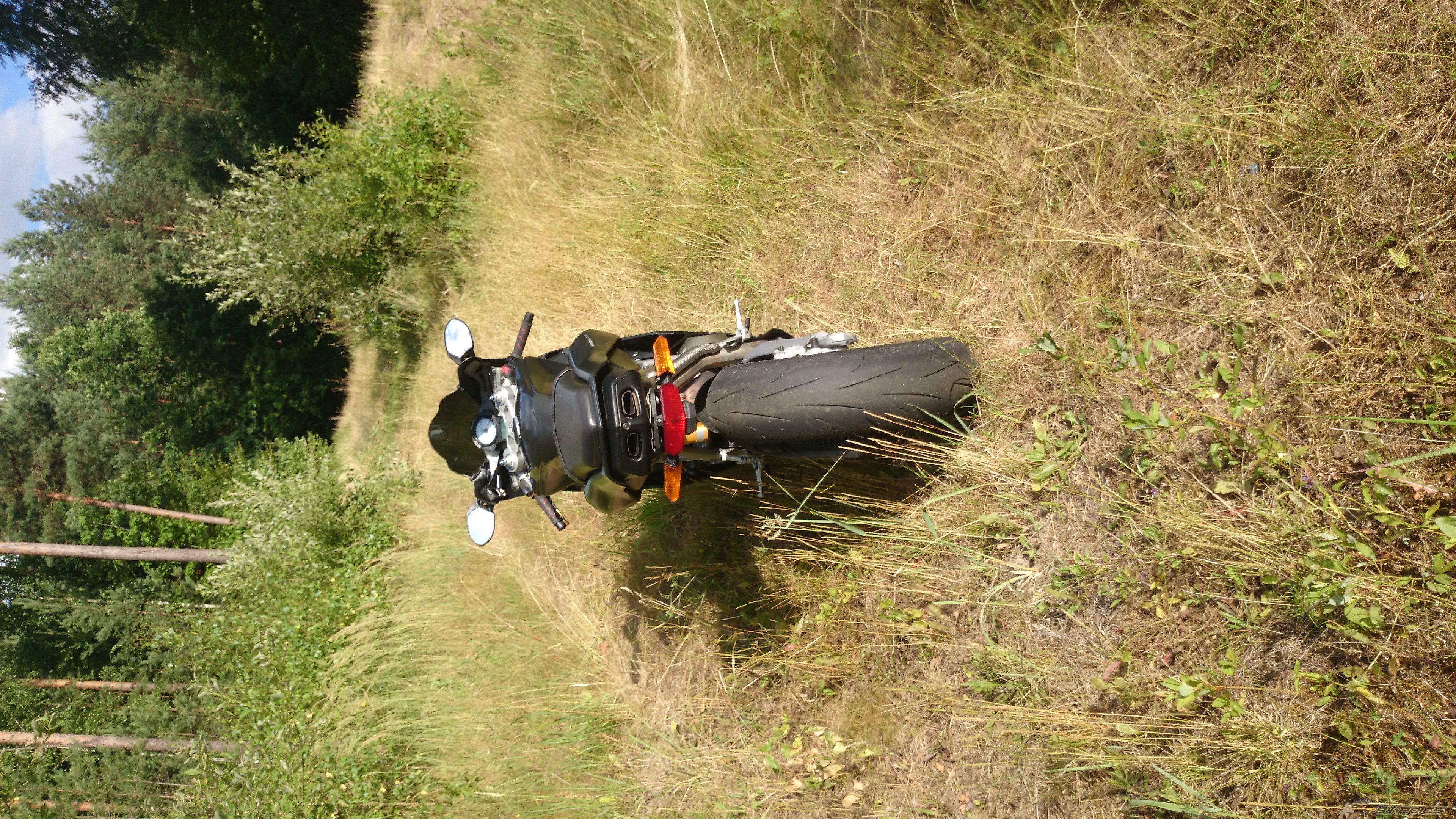 2005 DUCATI 749 | Picture 2751238 motorcycle photo