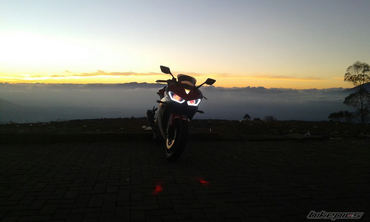 2014 YAMAHA R 25 | Picture 2751949 motorcycle photo
