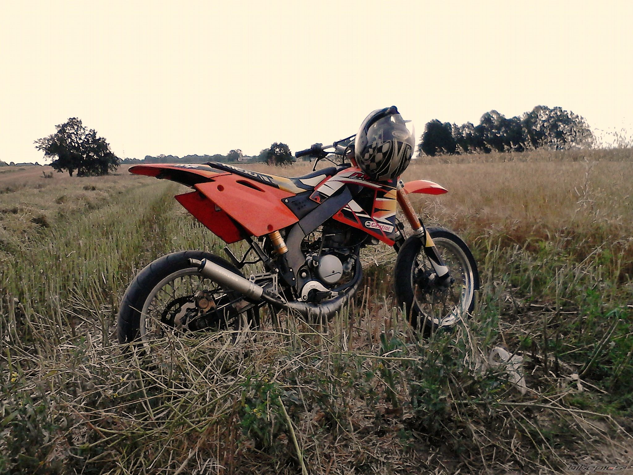 2006 RIEJU MRX 50 PRO | Picture 2752013 motorcycle photo