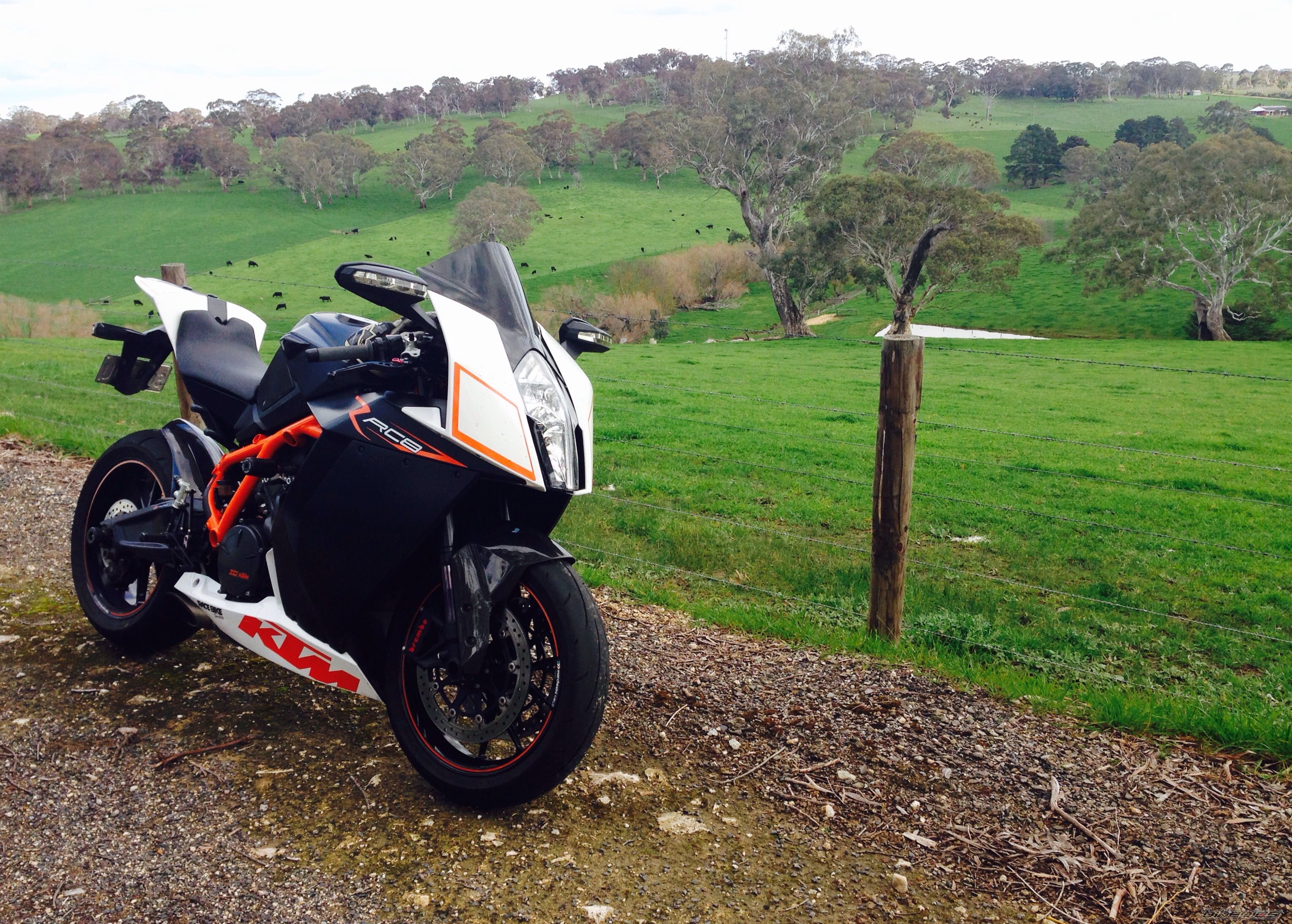 2009 KTM RC8 R | Picture 2752597 motorcycle photo