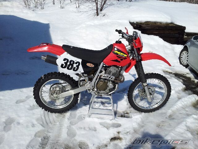 2003 HONDA XR 400 | Picture 2753137 motorcycle photo