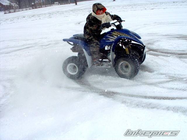 2001 POLARIS SCRAMBLER 50 | Picture 275325 motorcycle photo