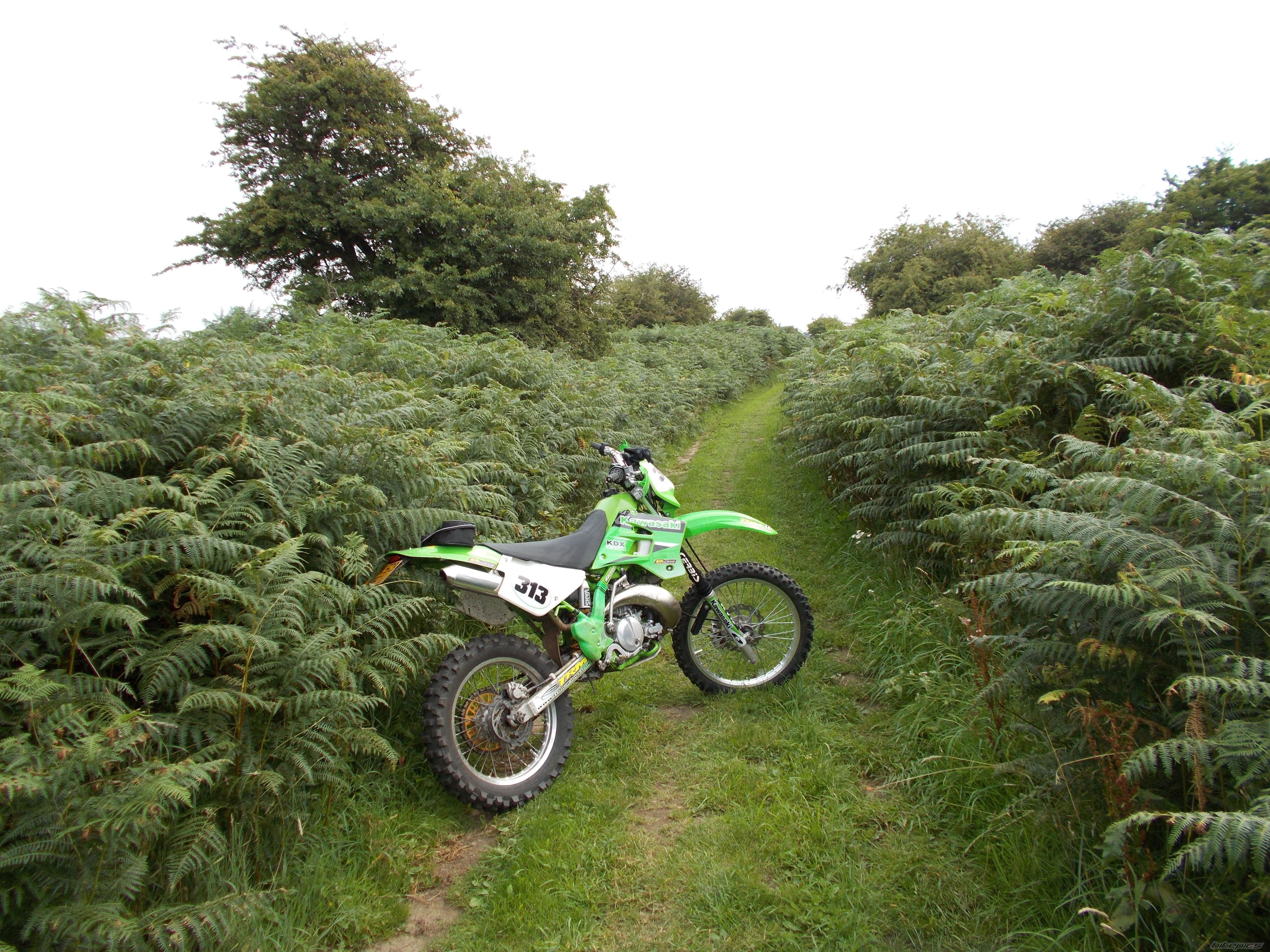 2003 KAWASAKI KDX 220 | Picture 2754461 motorcycle photo