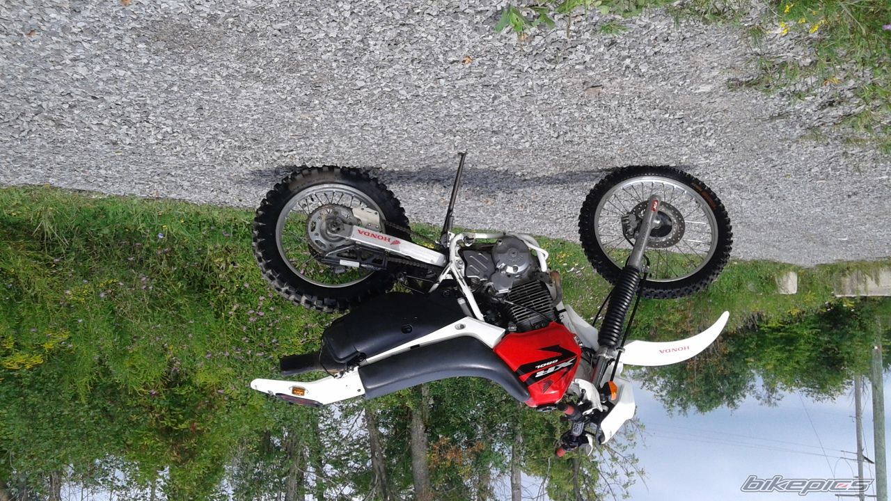 1995 HONDA XR 650 | Picture 2754502 motorcycle photo