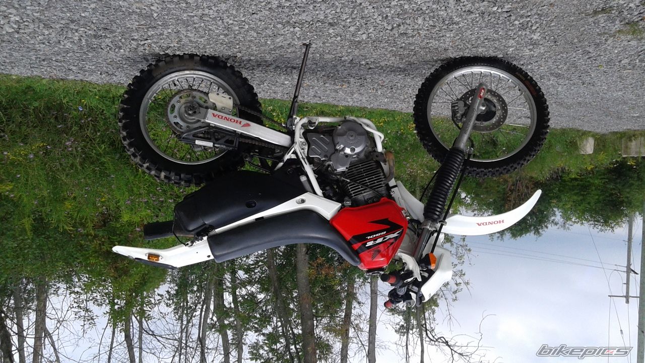 1995 HONDA XR 650 | Picture 2754503 motorcycle photo