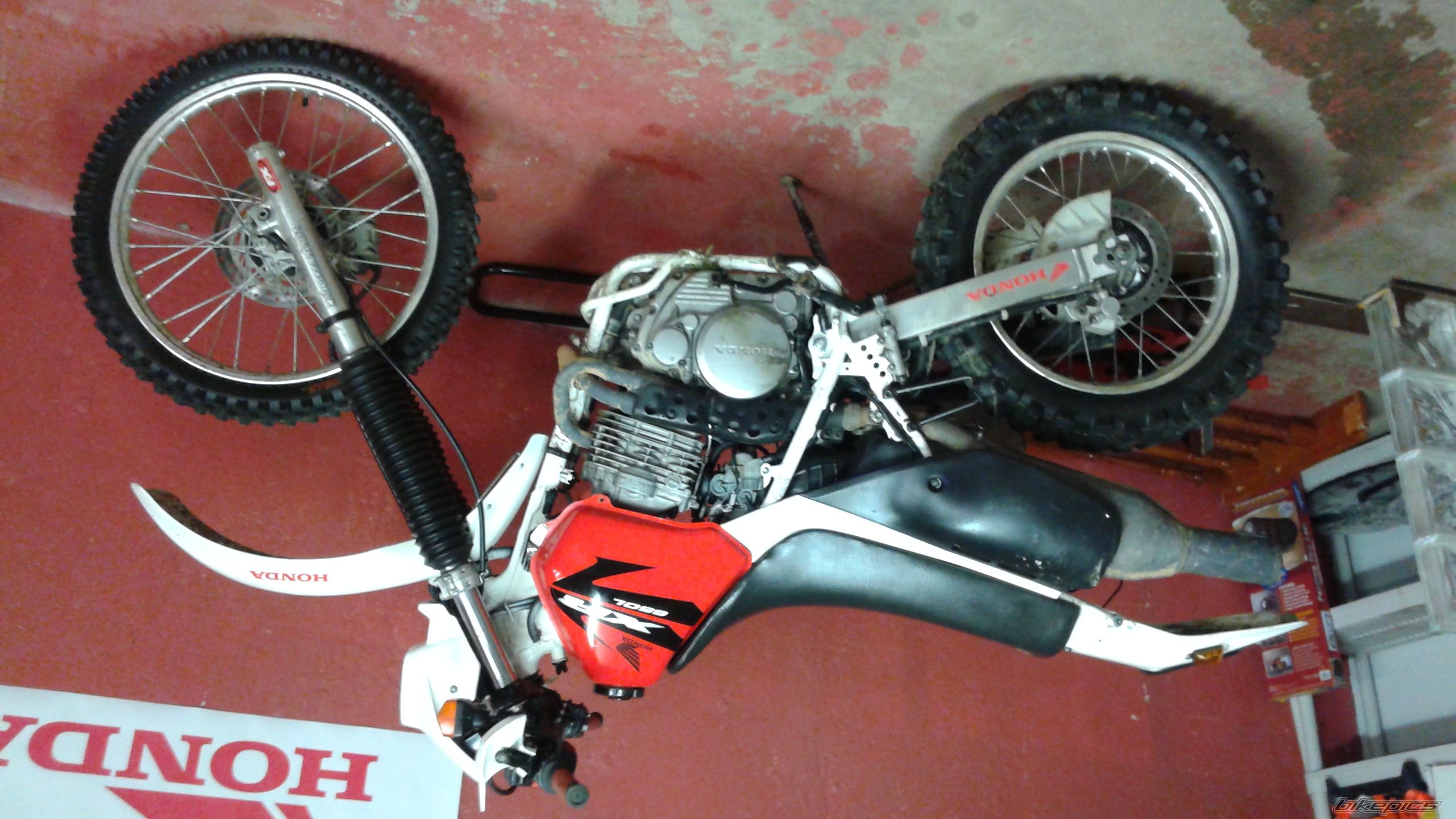 1995 HONDA XR 650 | Picture 2754504 motorcycle photo