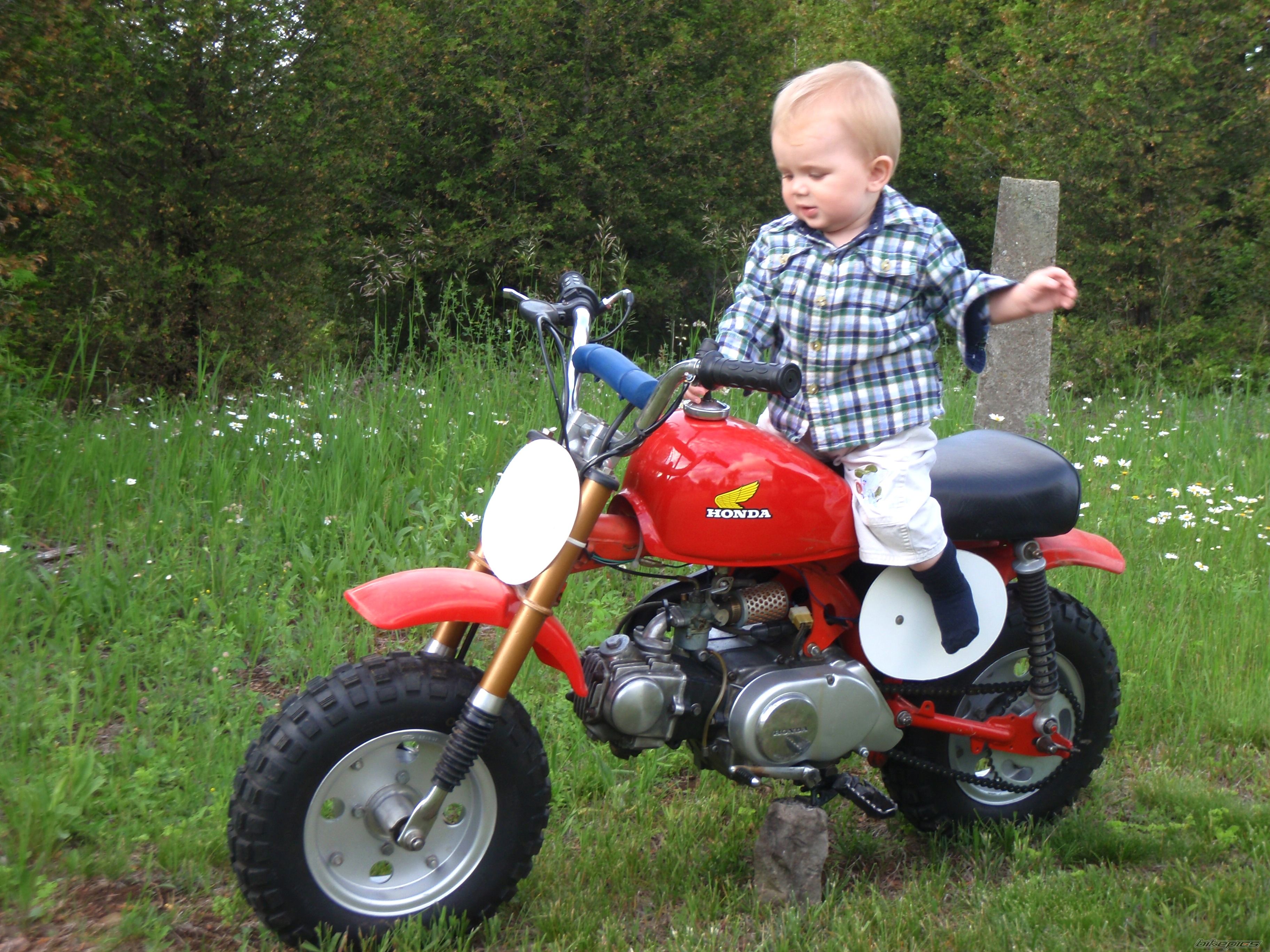 1982 HONDA Z 50 | Picture 2754579 motorcycle photo