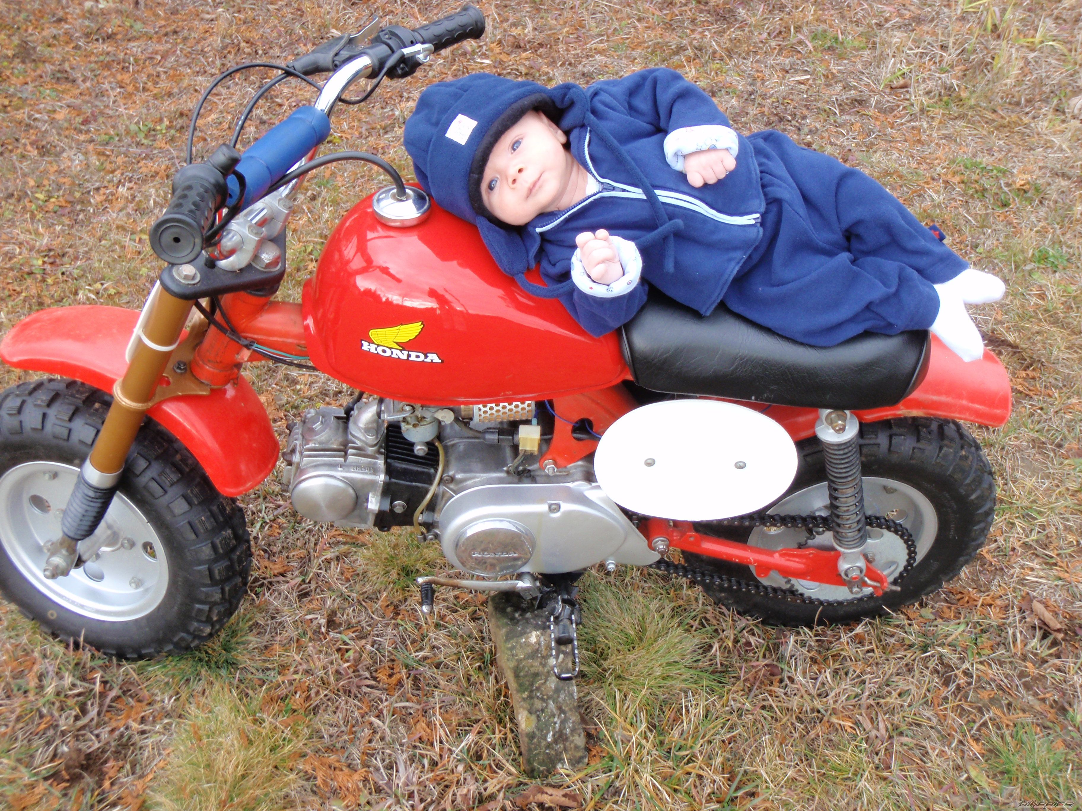 1982 HONDA Z 50 | Picture 2754582 motorcycle photo