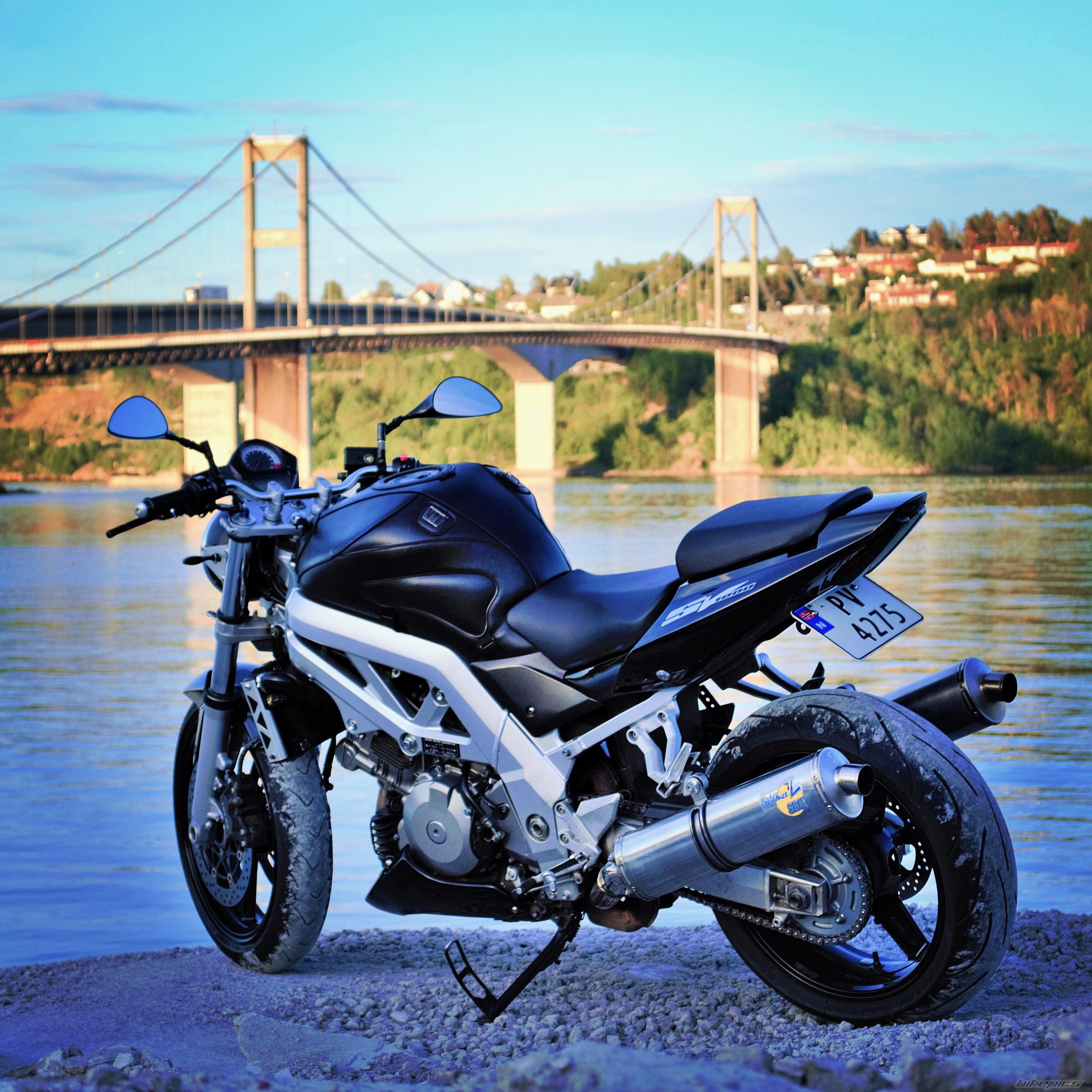 2003 SUZUKI SV 1000 | Picture 2756432 motorcycle photo