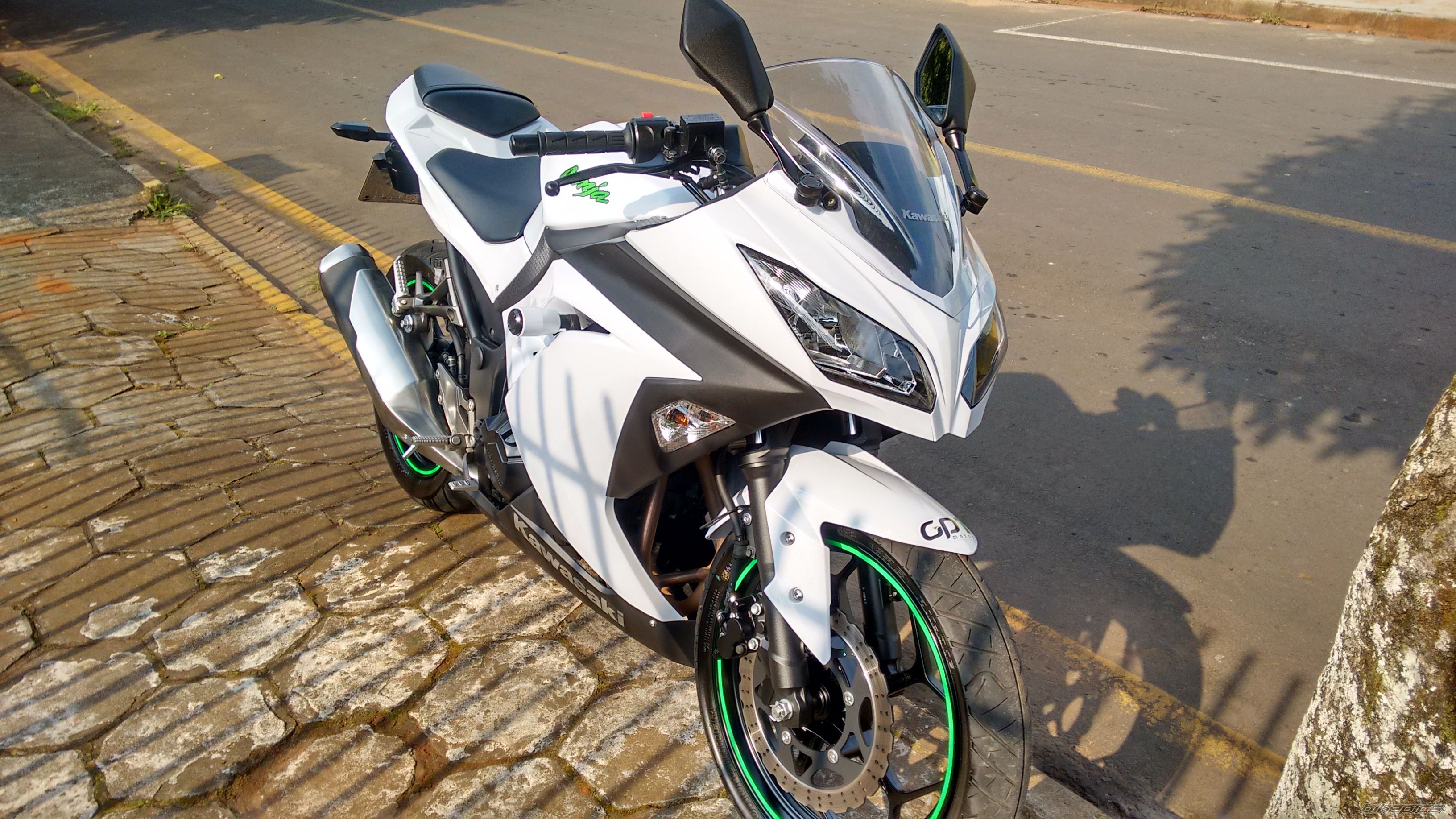 2015 KAWASAKI NINJA 300 | Picture 2756556 motorcycle photo