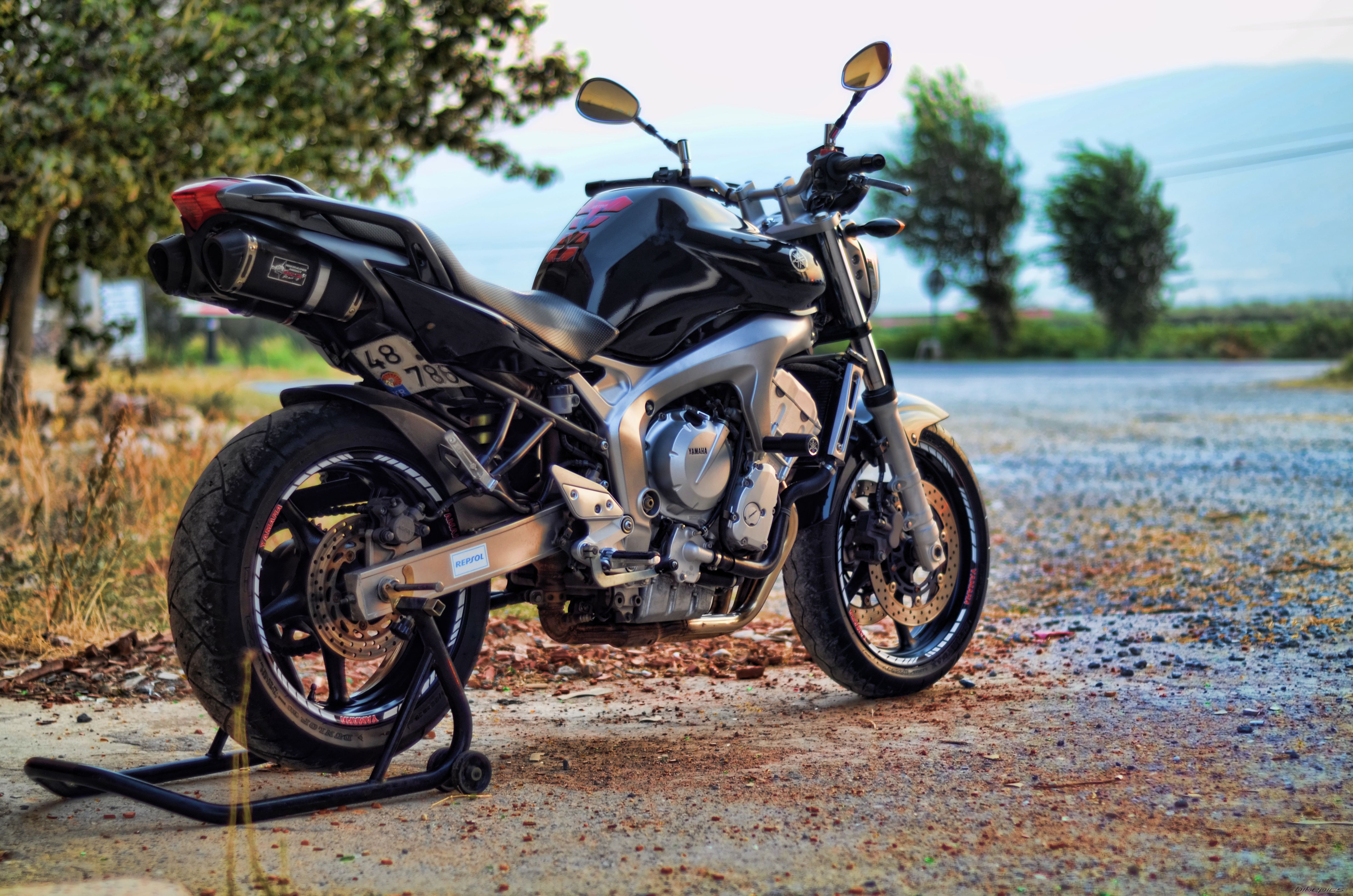 2008 YAMAHA FZ6N | Picture 2757920 motorcycle photo