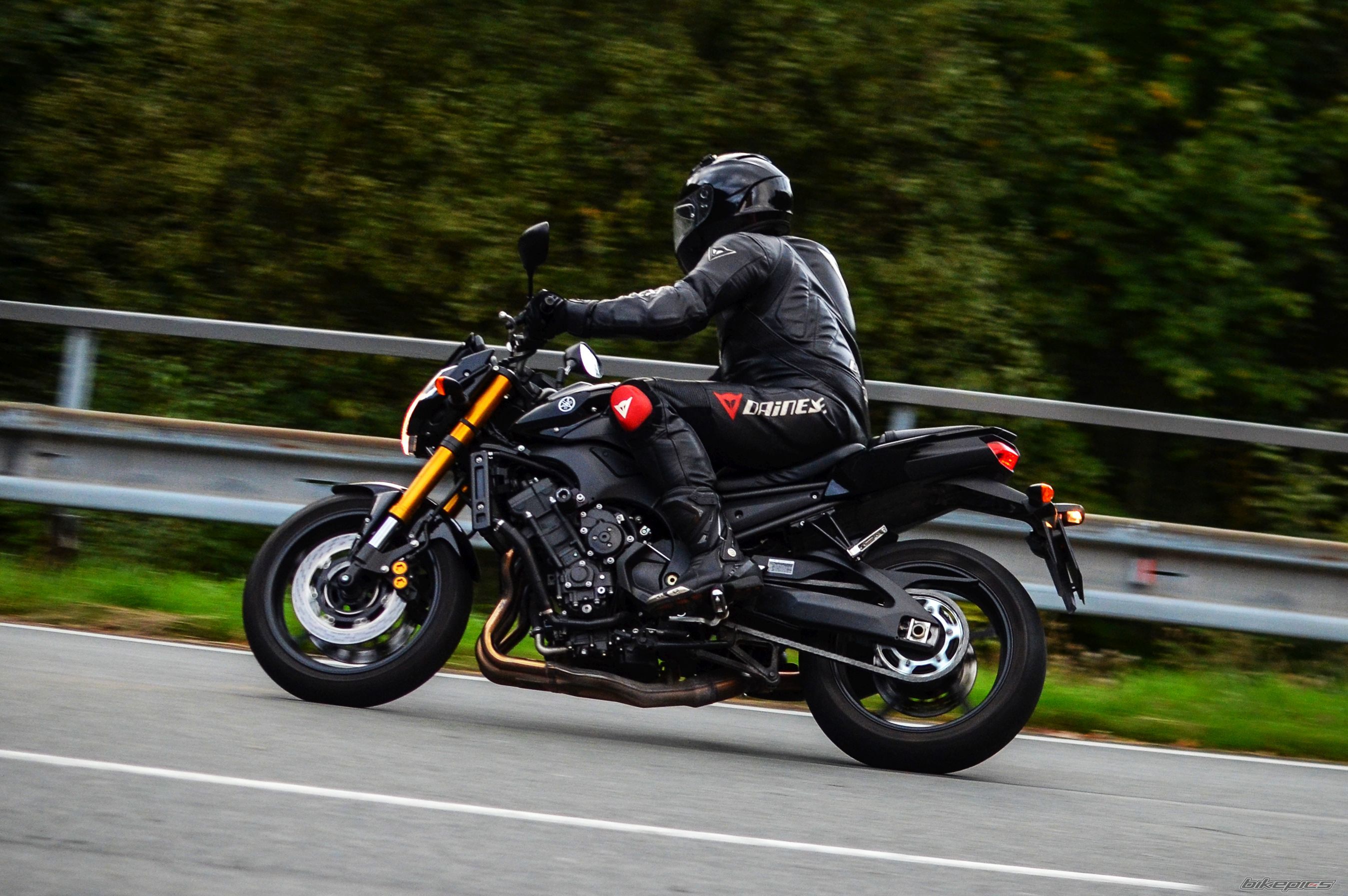 2009 YAMAHA FZ 8 | Picture 2758365 motorcycle photo