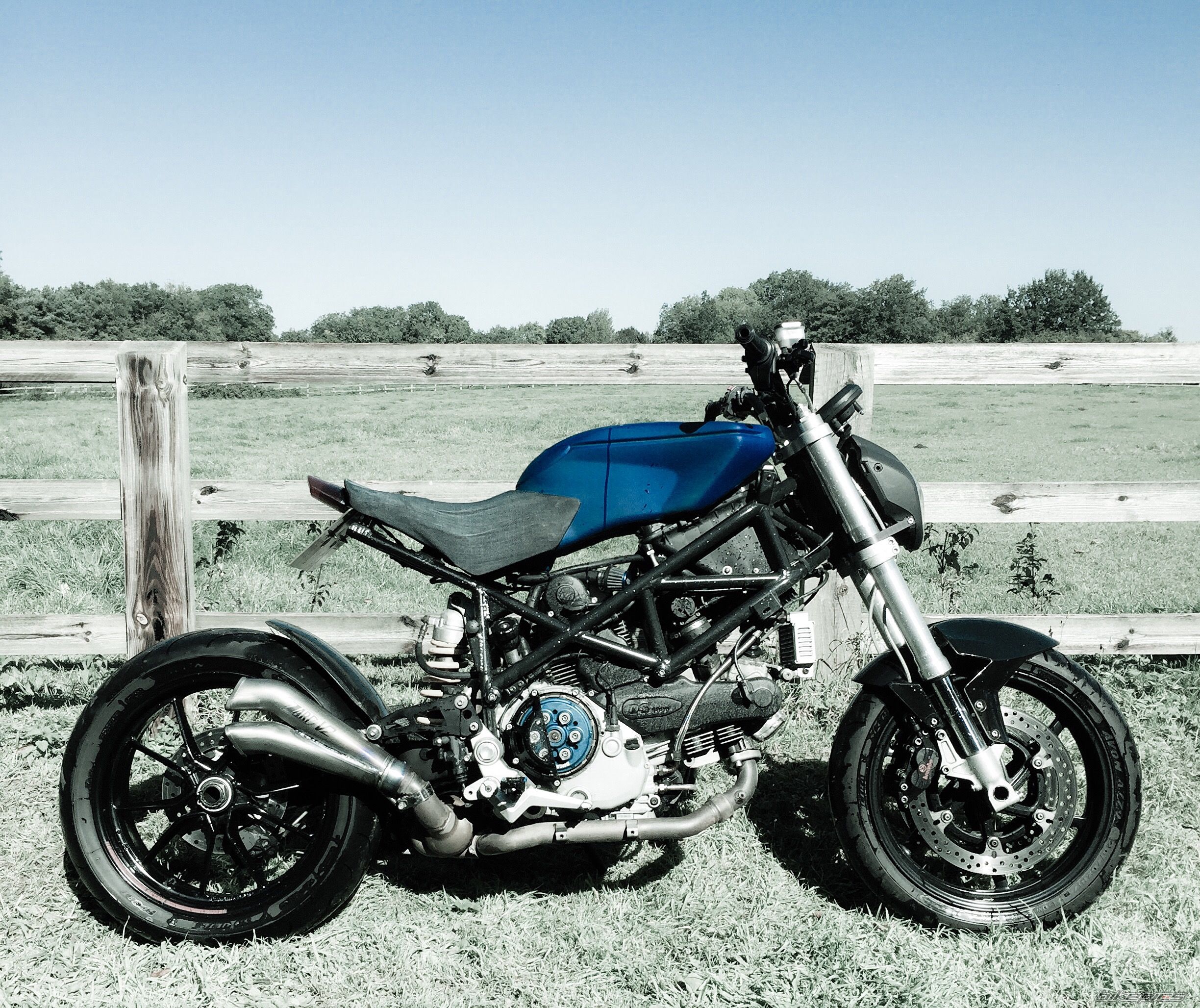 2003 DUCATI MULTISTRADA 1000S DS | Picture 2759182 motorcycle photo