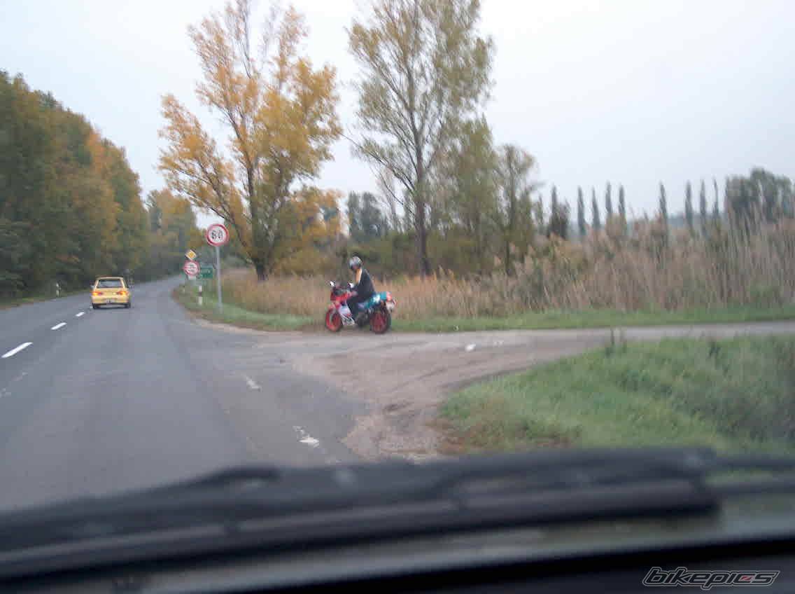 1992 APRILIA AF1 REPLICA 125 | Picture 276060 motorcycle photo