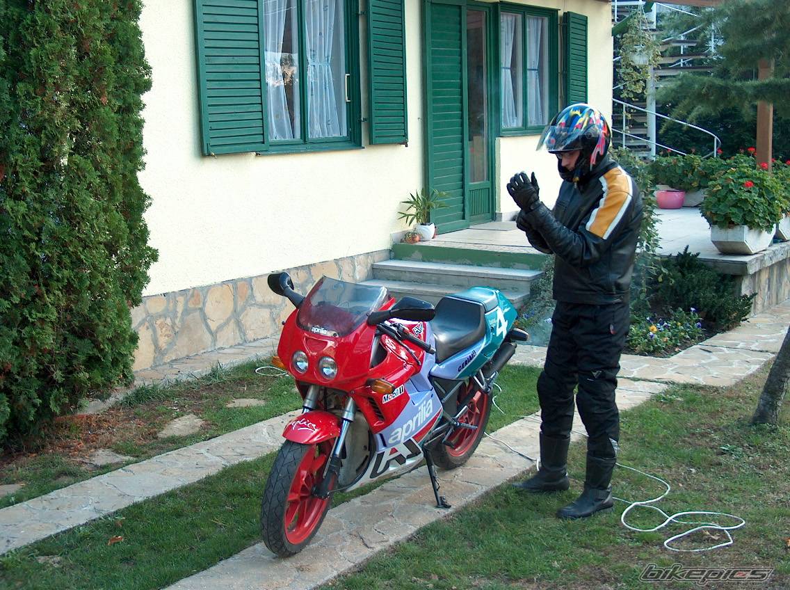 1992 APRILIA AF1 REPLICA 125 | Picture 276063 motorcycle photo