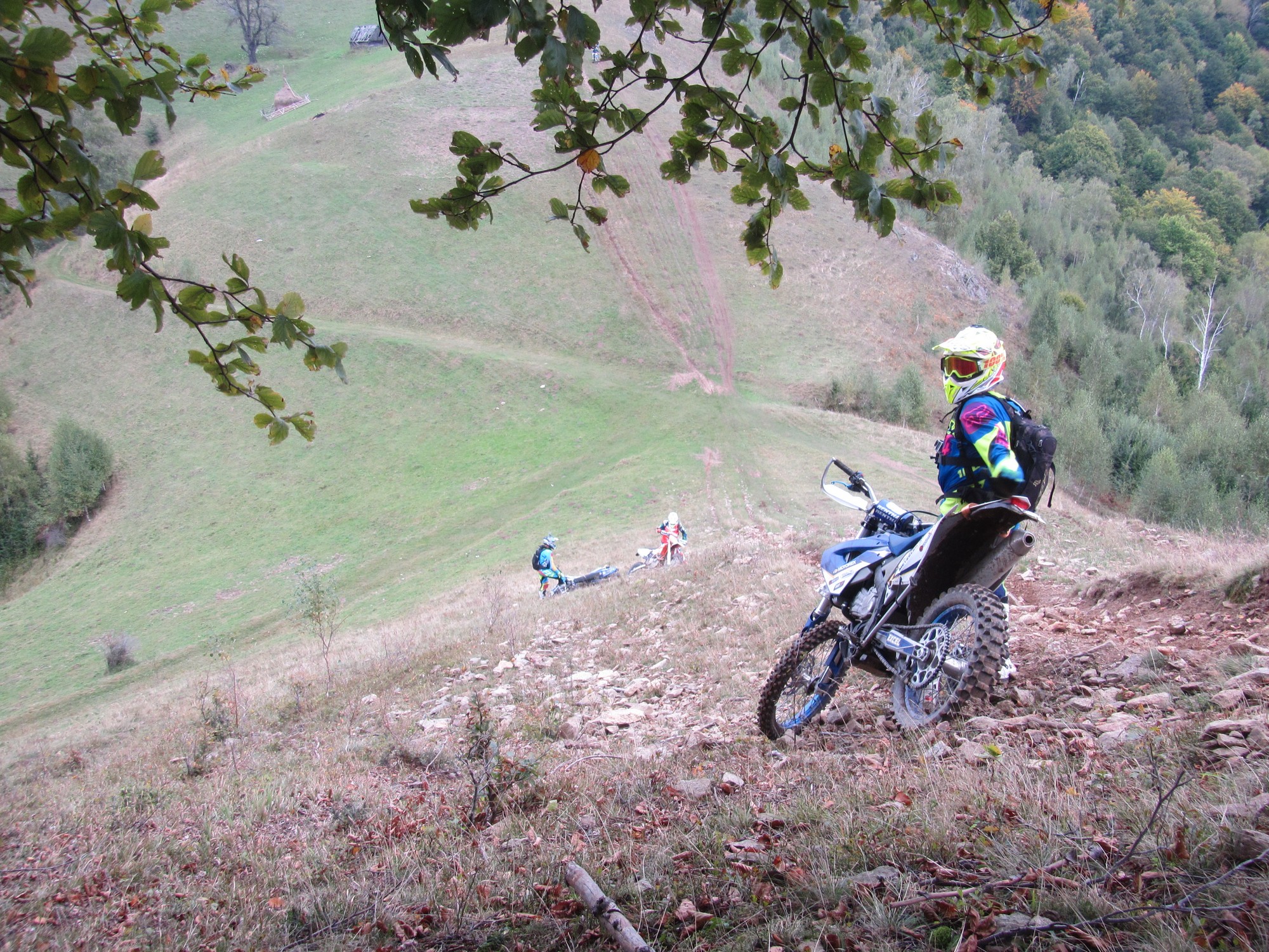 2011 HUSABERG FE 390 | Picture 2760948 motorcycle photo