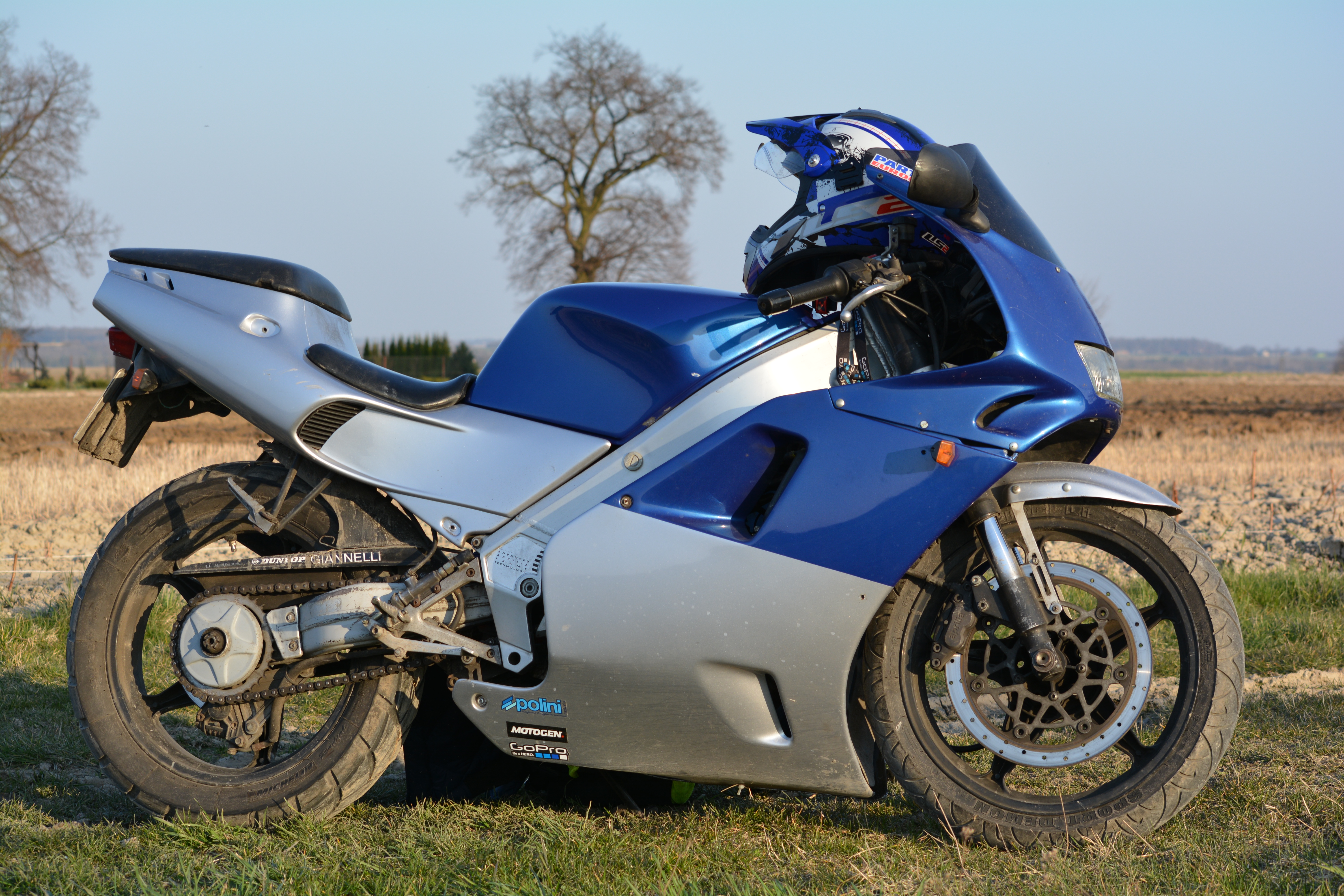 1991 APRILIA AF1 SPORT PRO 125 | Picture 2761043 motorcycle photo