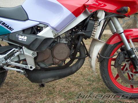 1992 APRILIA AF1 REPLICA 125 | Picture 276126 motorcycle photo