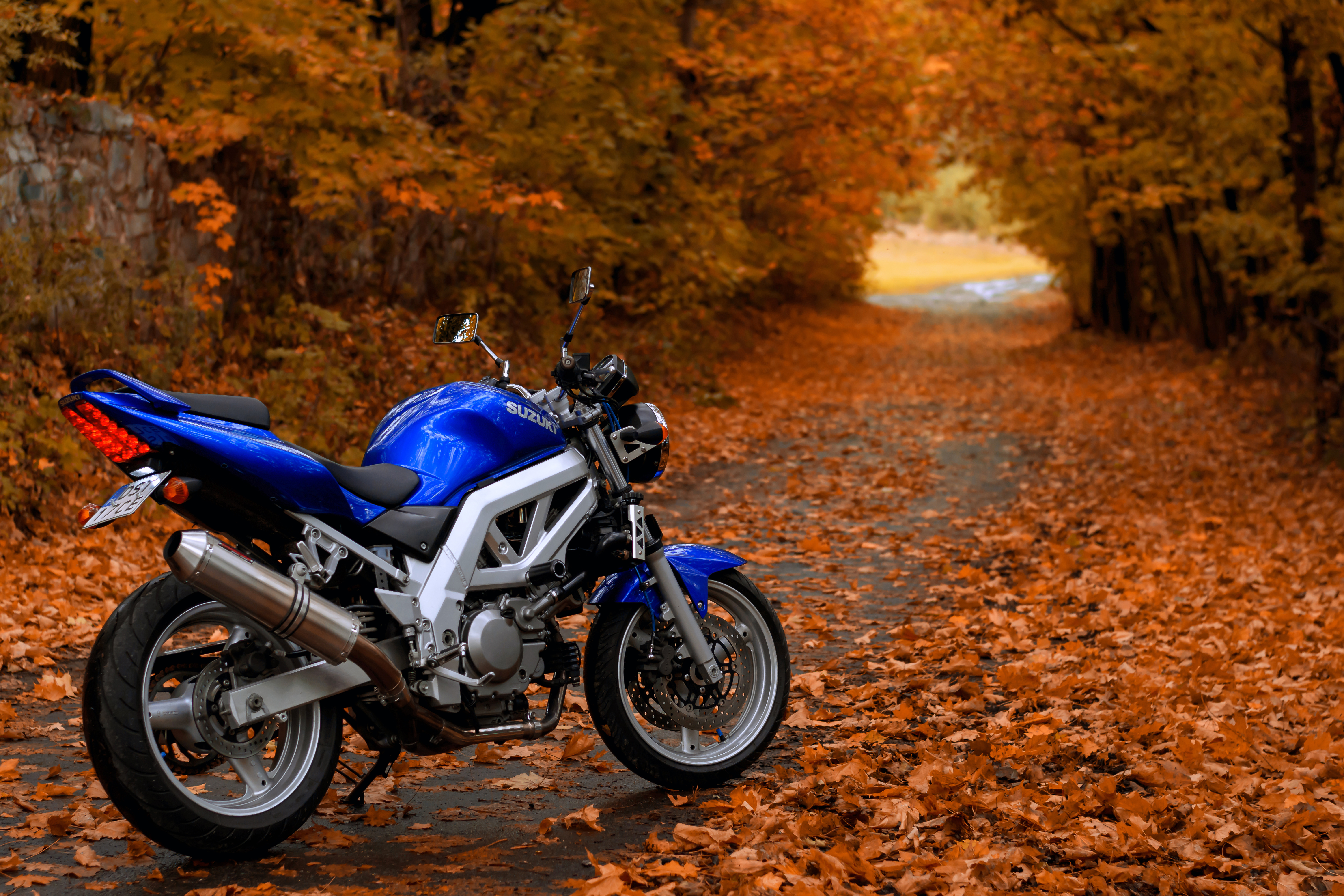 2003 SUZUKI SV 650 | Picture 2761431 motorcycle photo