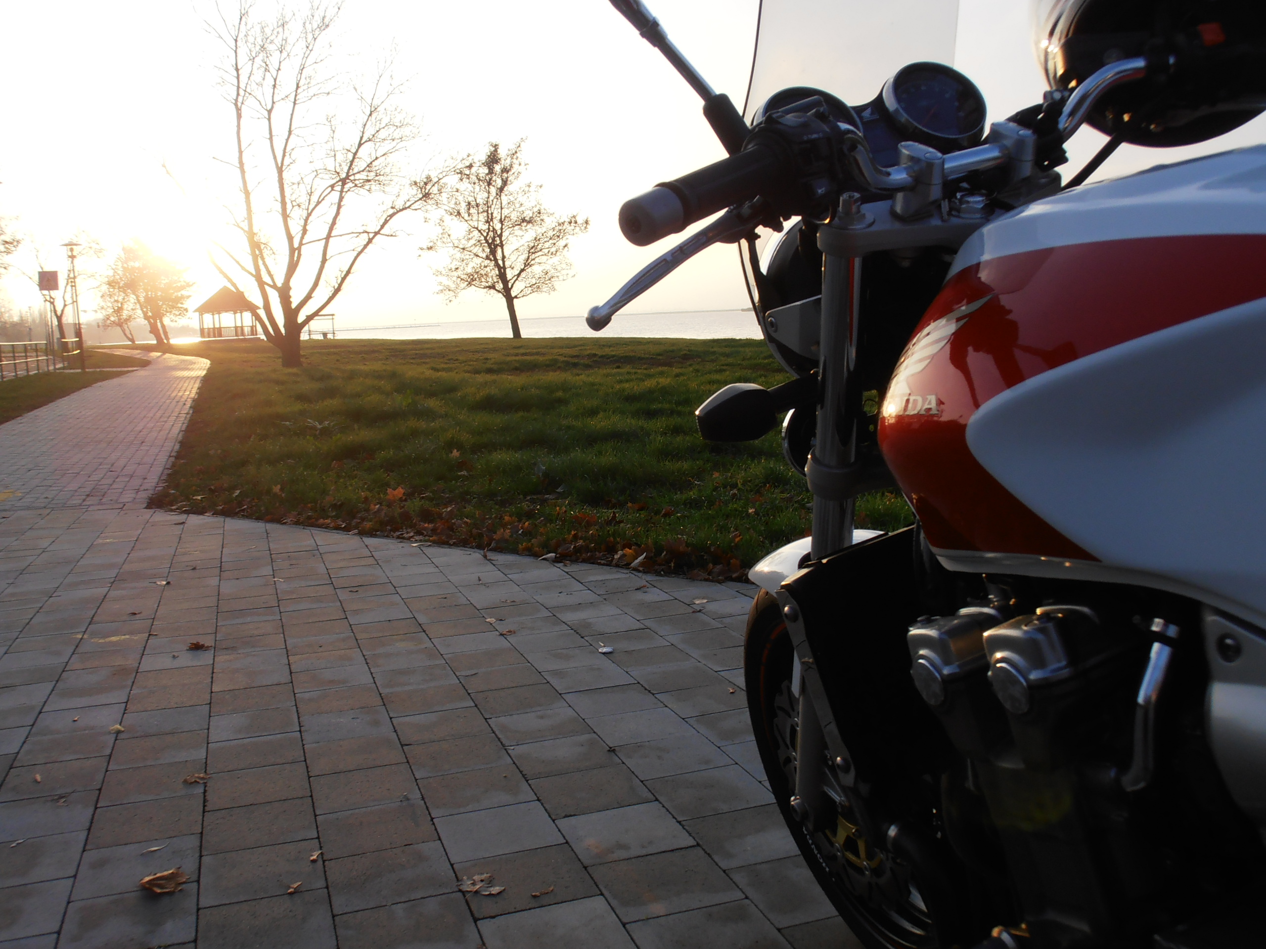 2003 HONDA CB1300SF | Picture 2761571 motorcycle photo