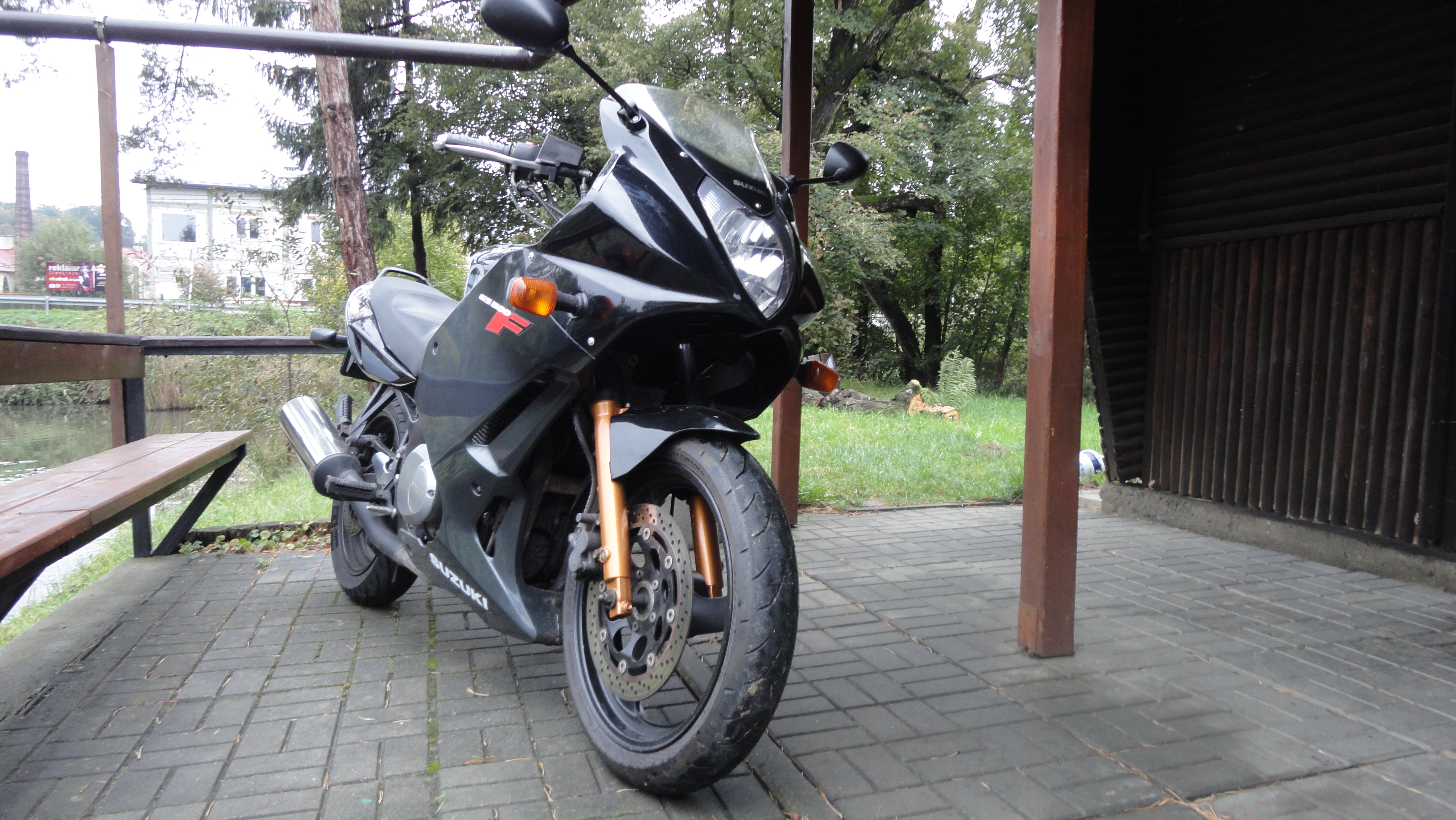 2004 SUZUKI GS500F | Picture 2762035 motorcycle photo