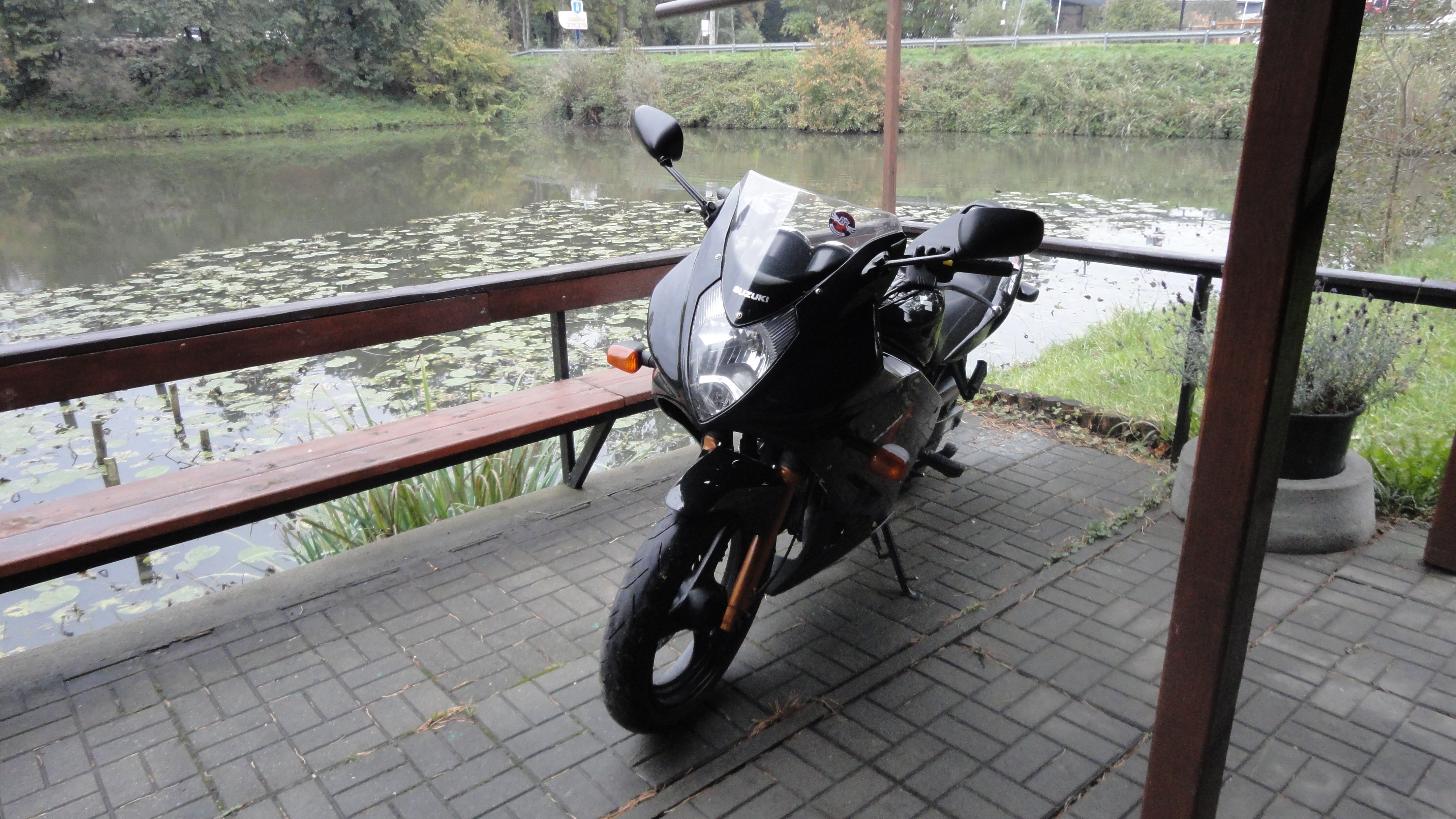 2004 SUZUKI GS500F | Picture 2762036 motorcycle photo