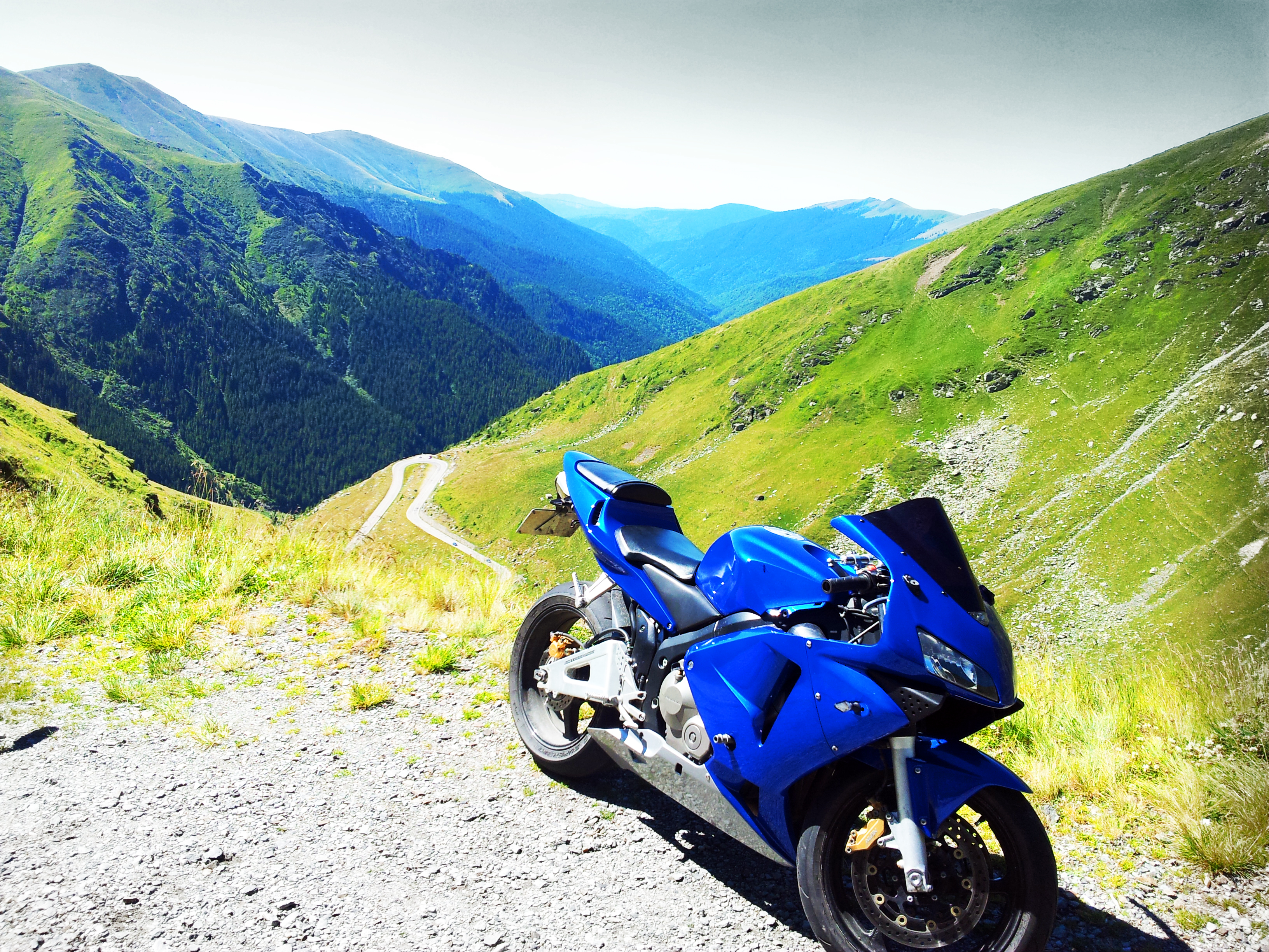 2004 HONDA CBR 600 RR | Picture 2762139 motorcycle photo